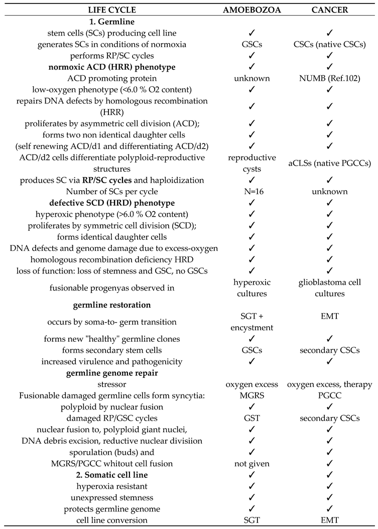 Preprints 94332 i001