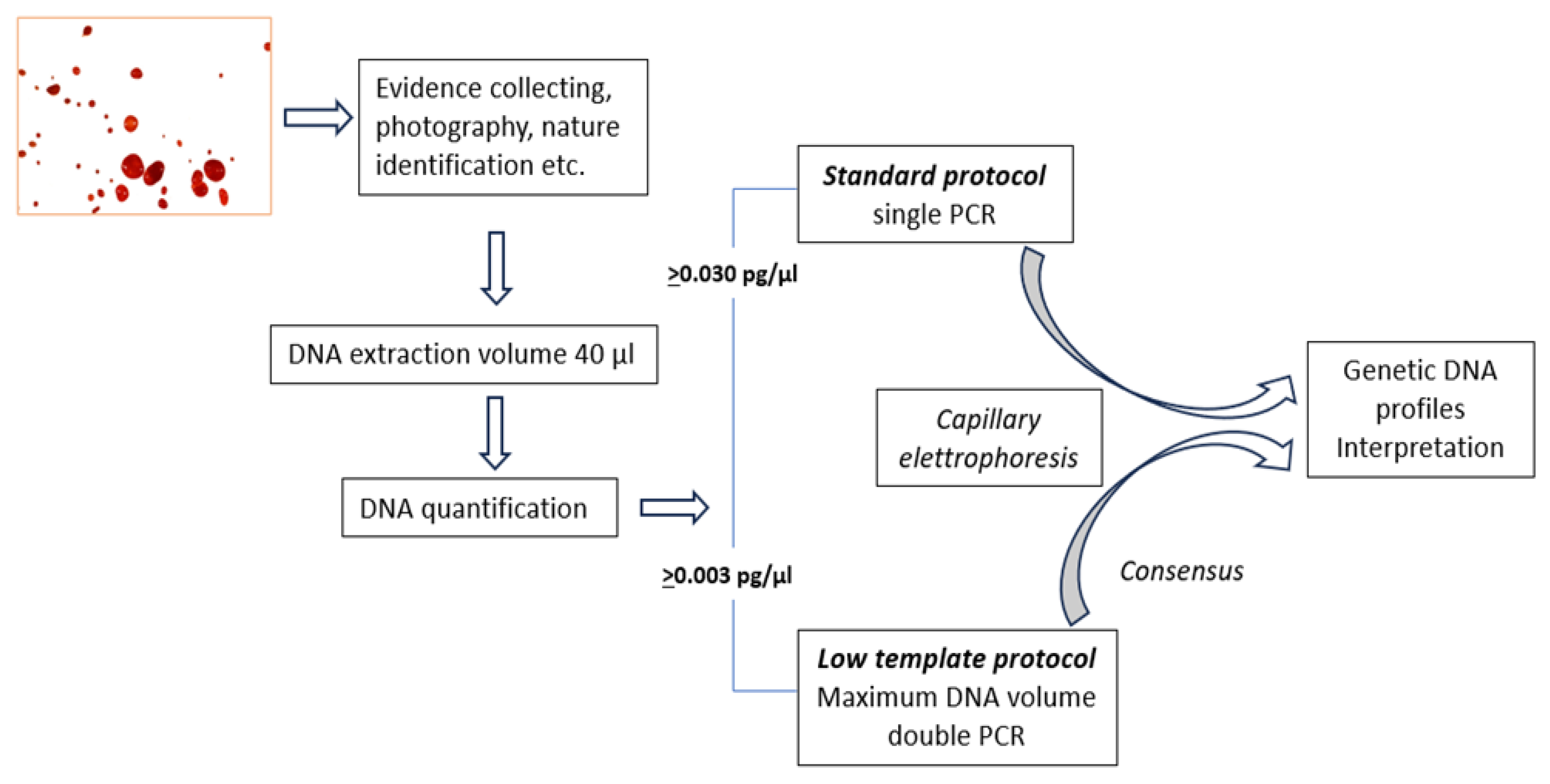 Preprints 105996 g001