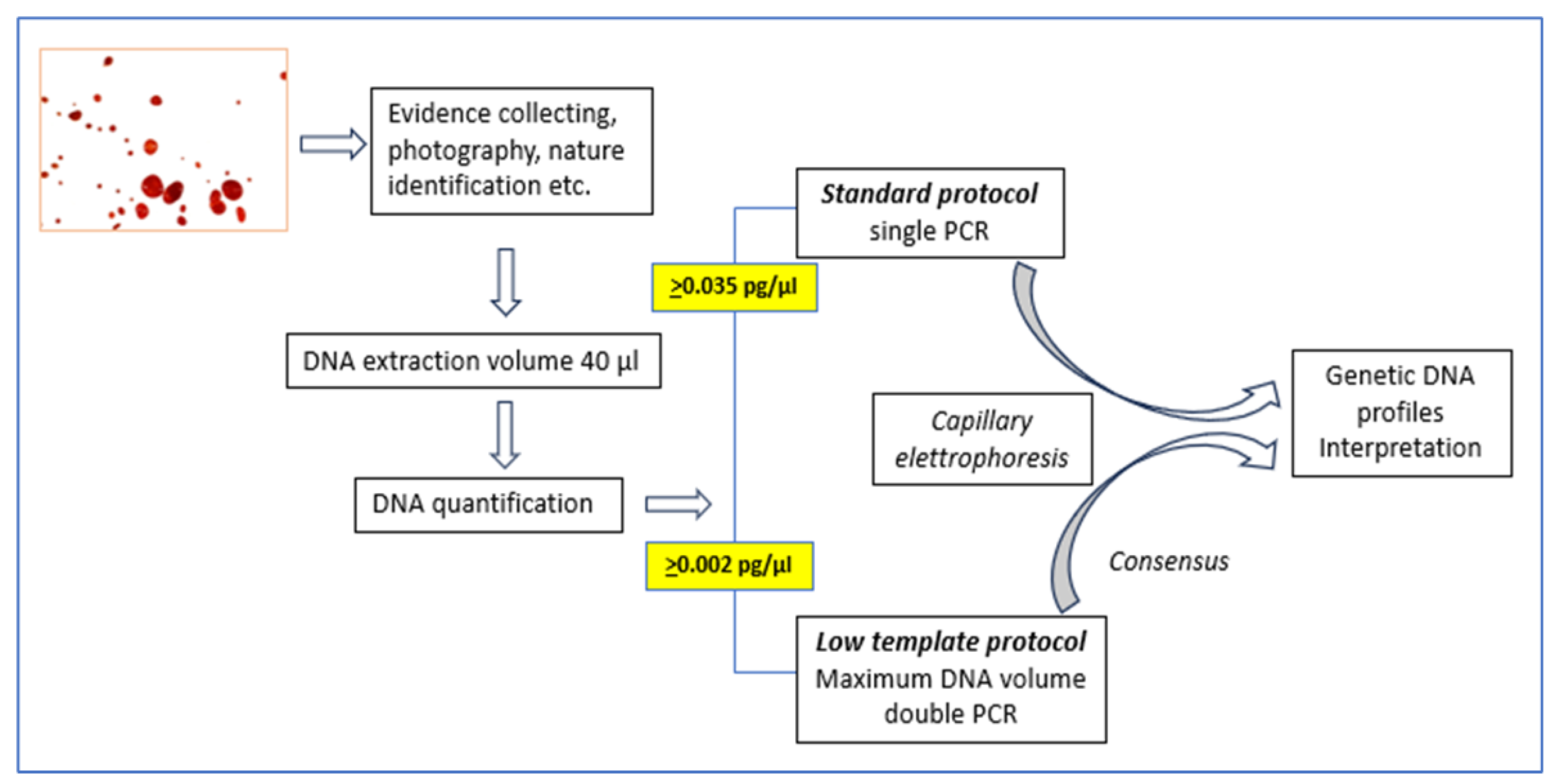 Preprints 105996 g010