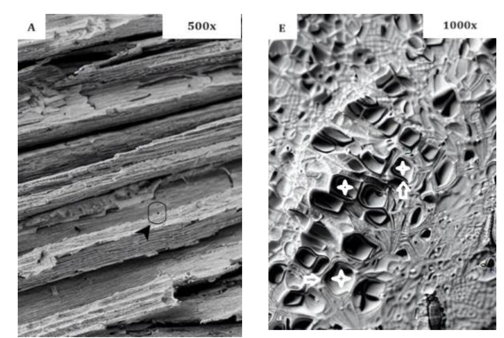 Preprints 87166 g004