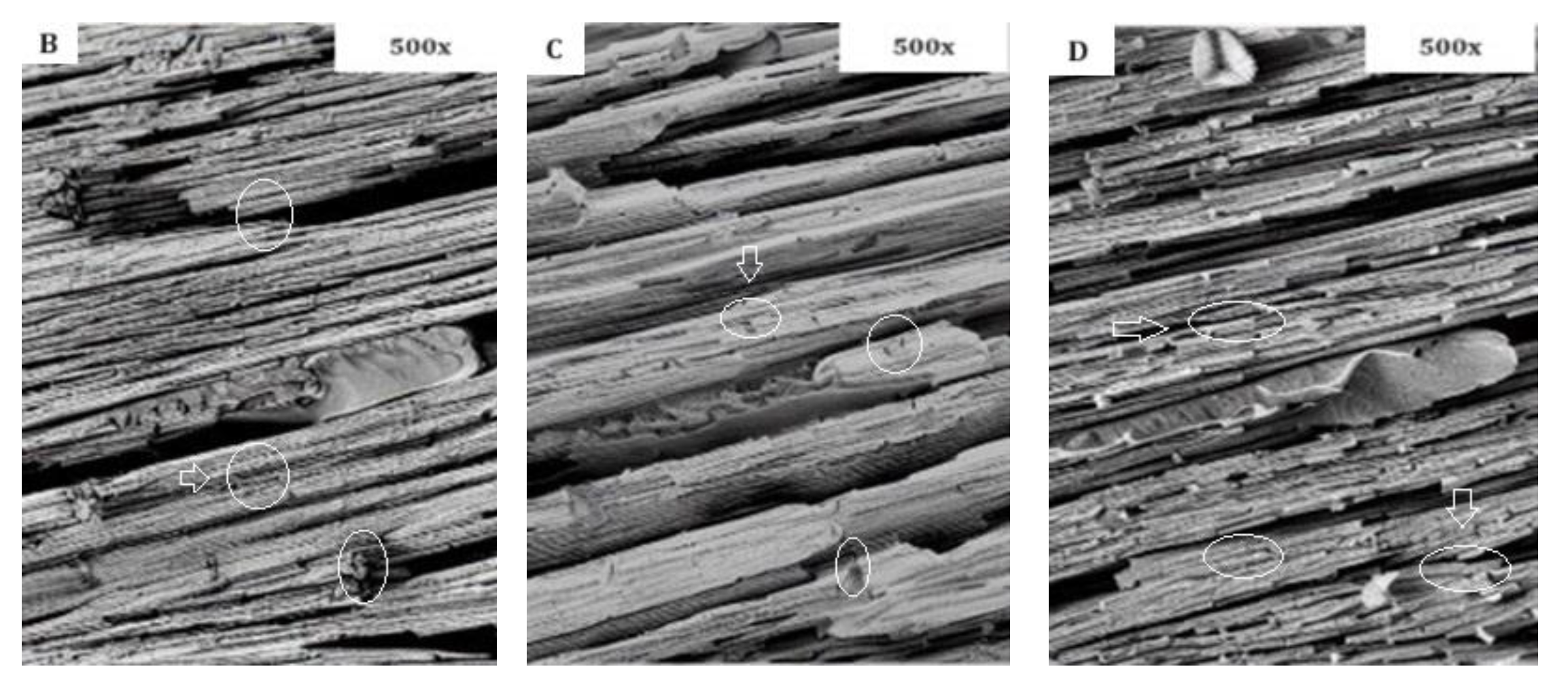 Preprints 87166 g005a