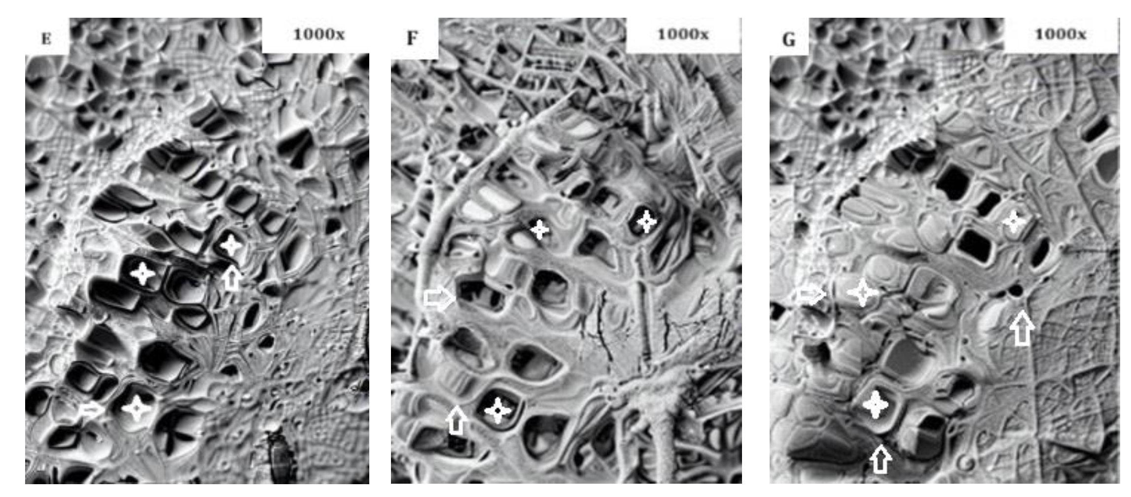 Preprints 87166 g005b