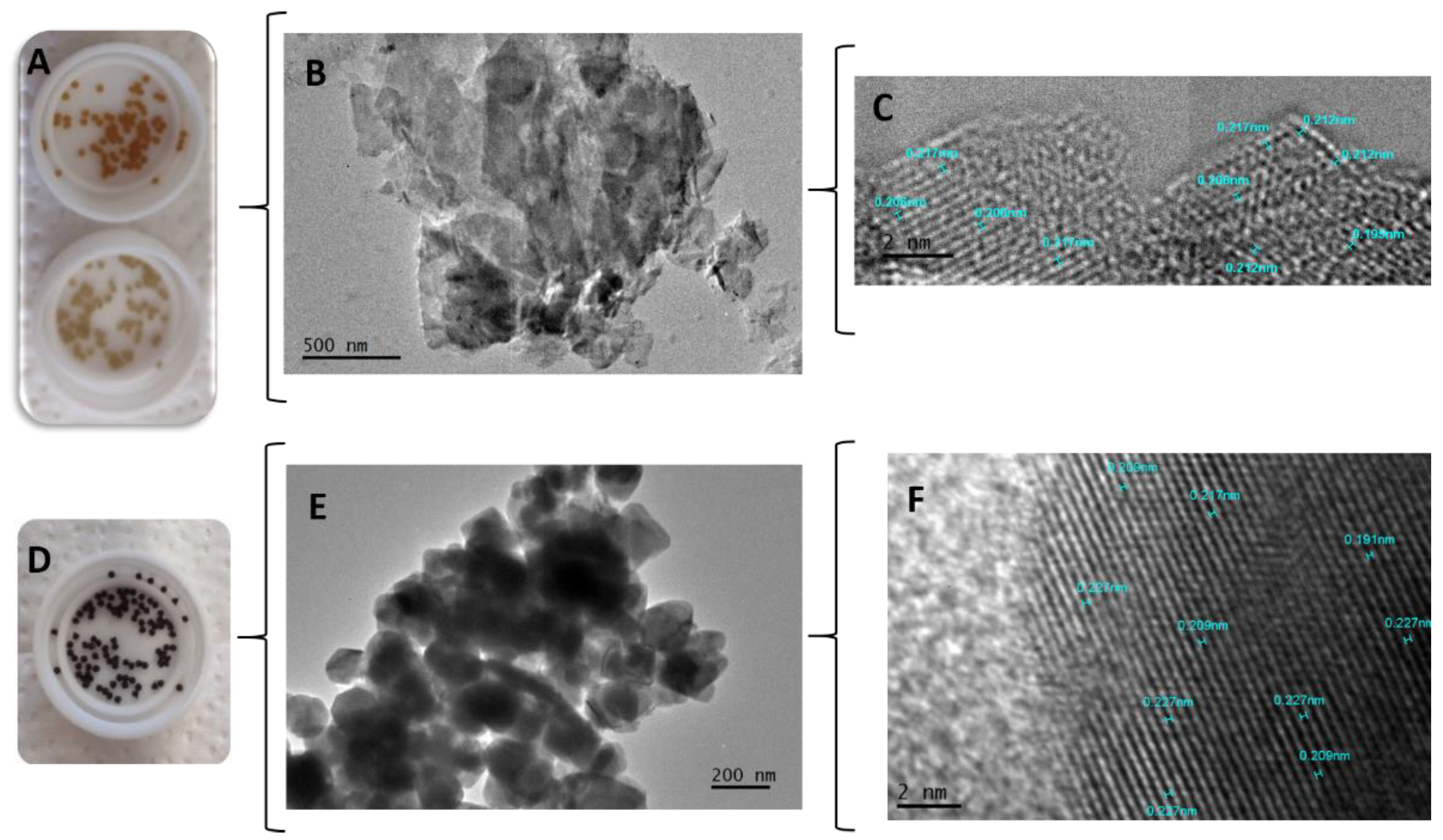 Preprints 117833 g005