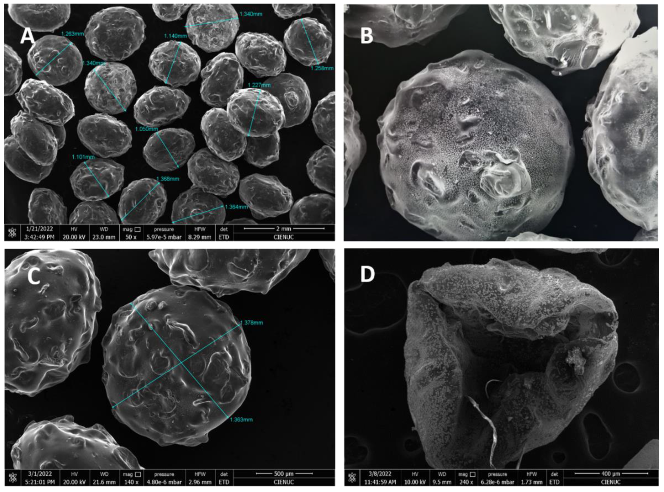 Preprints 117833 g006