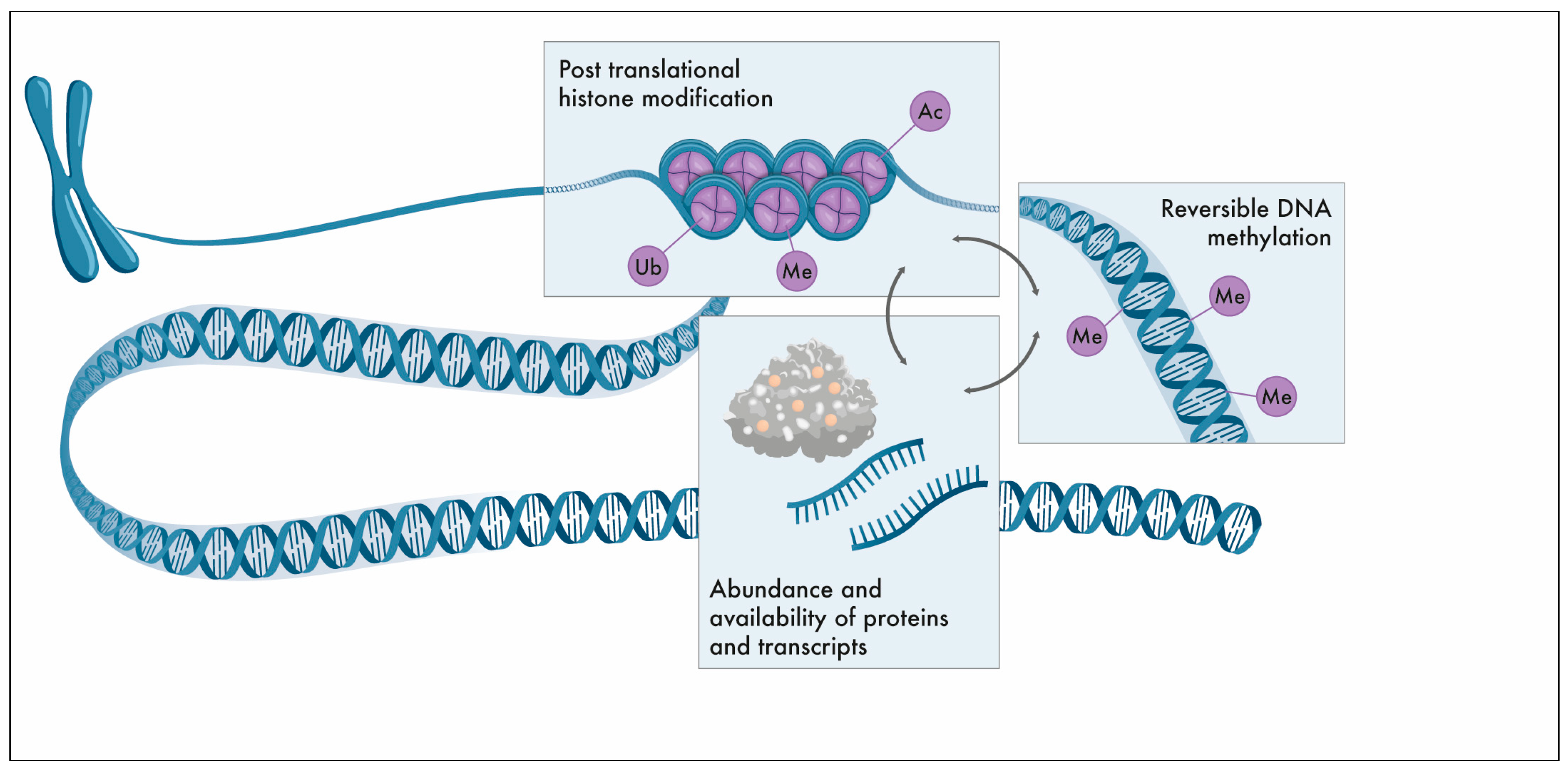 Preprints 75919 g001