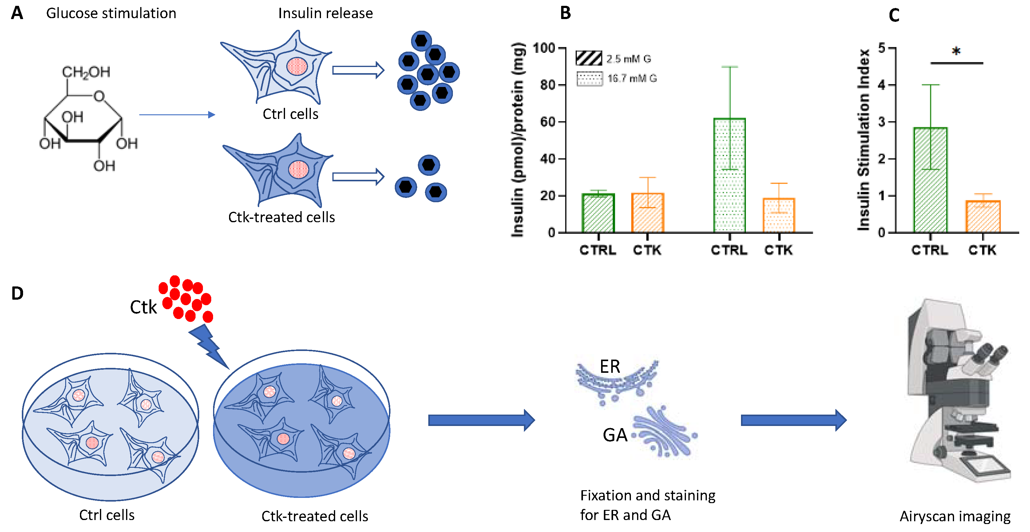 Preprints 115096 g001