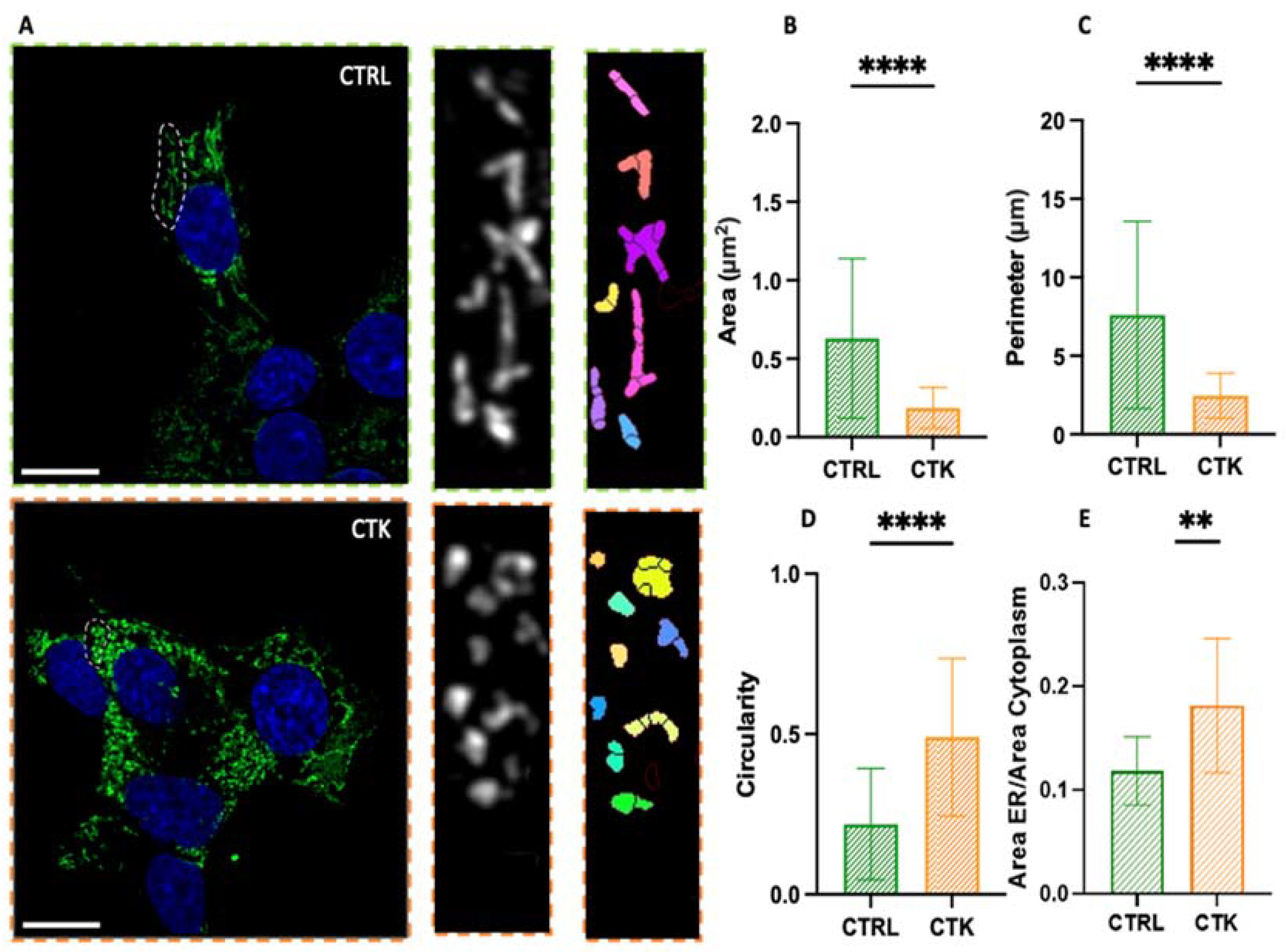 Preprints 115096 g002