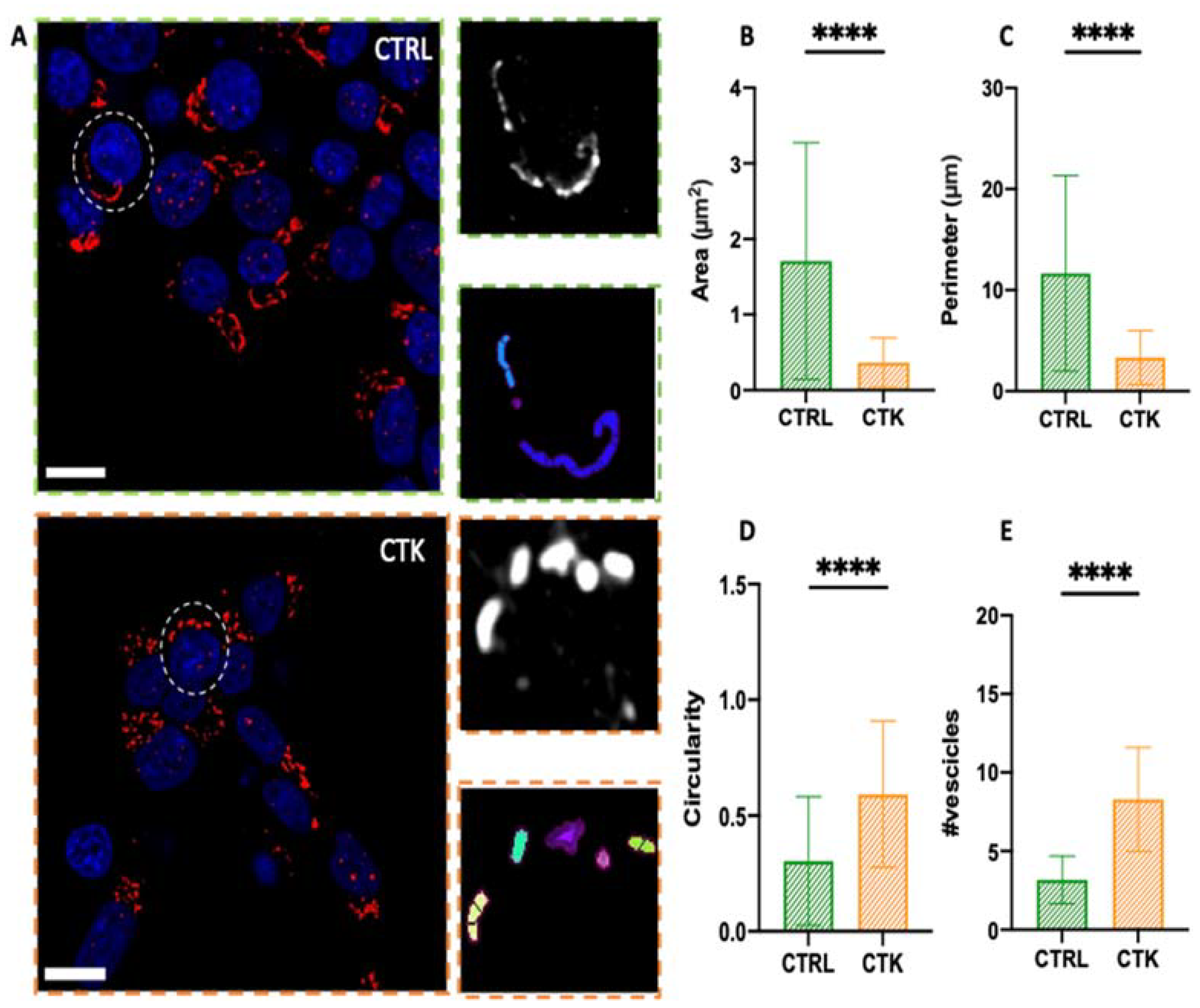 Preprints 115096 g003