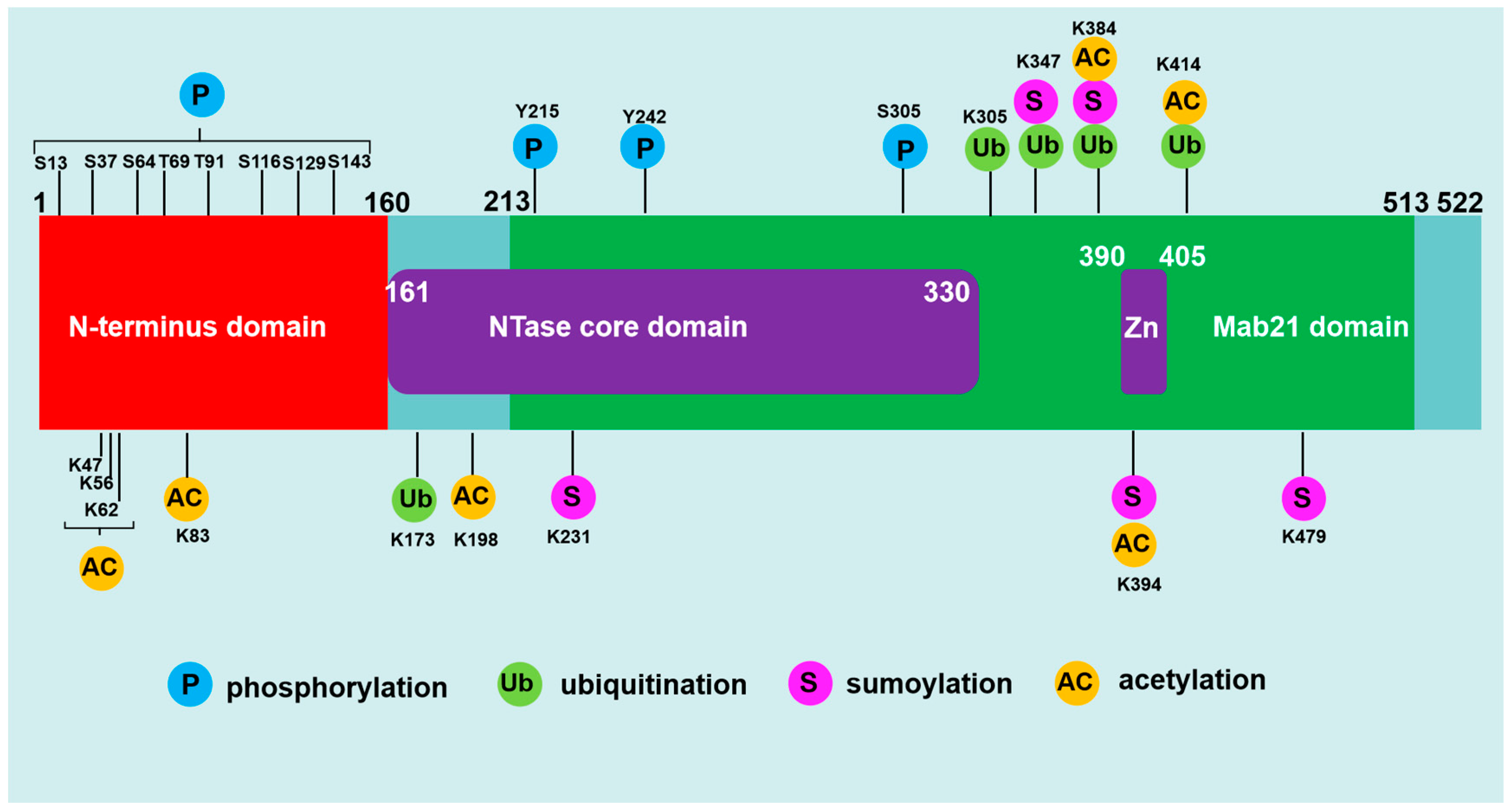 Preprints 83040 g001