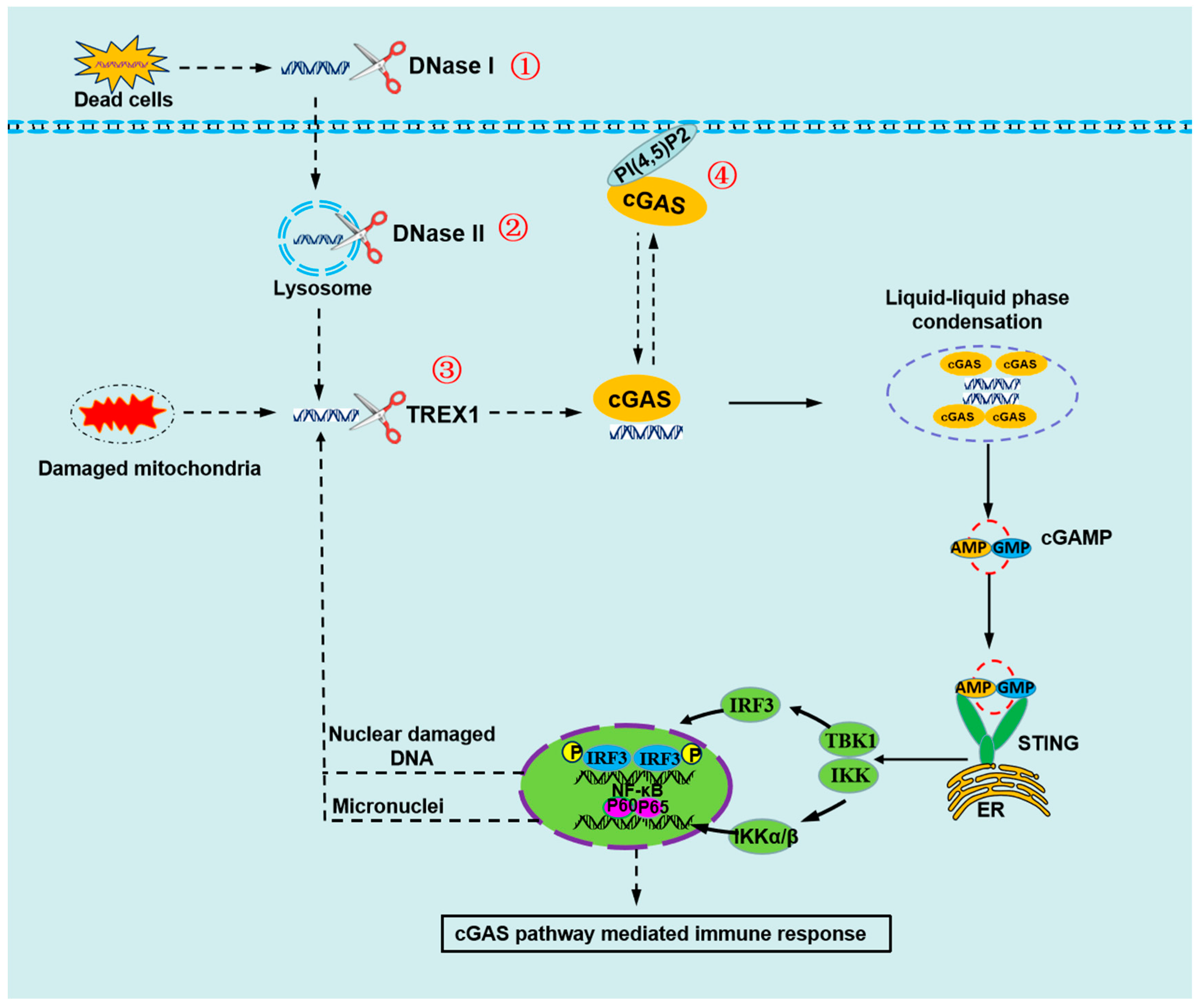 Preprints 83040 g002