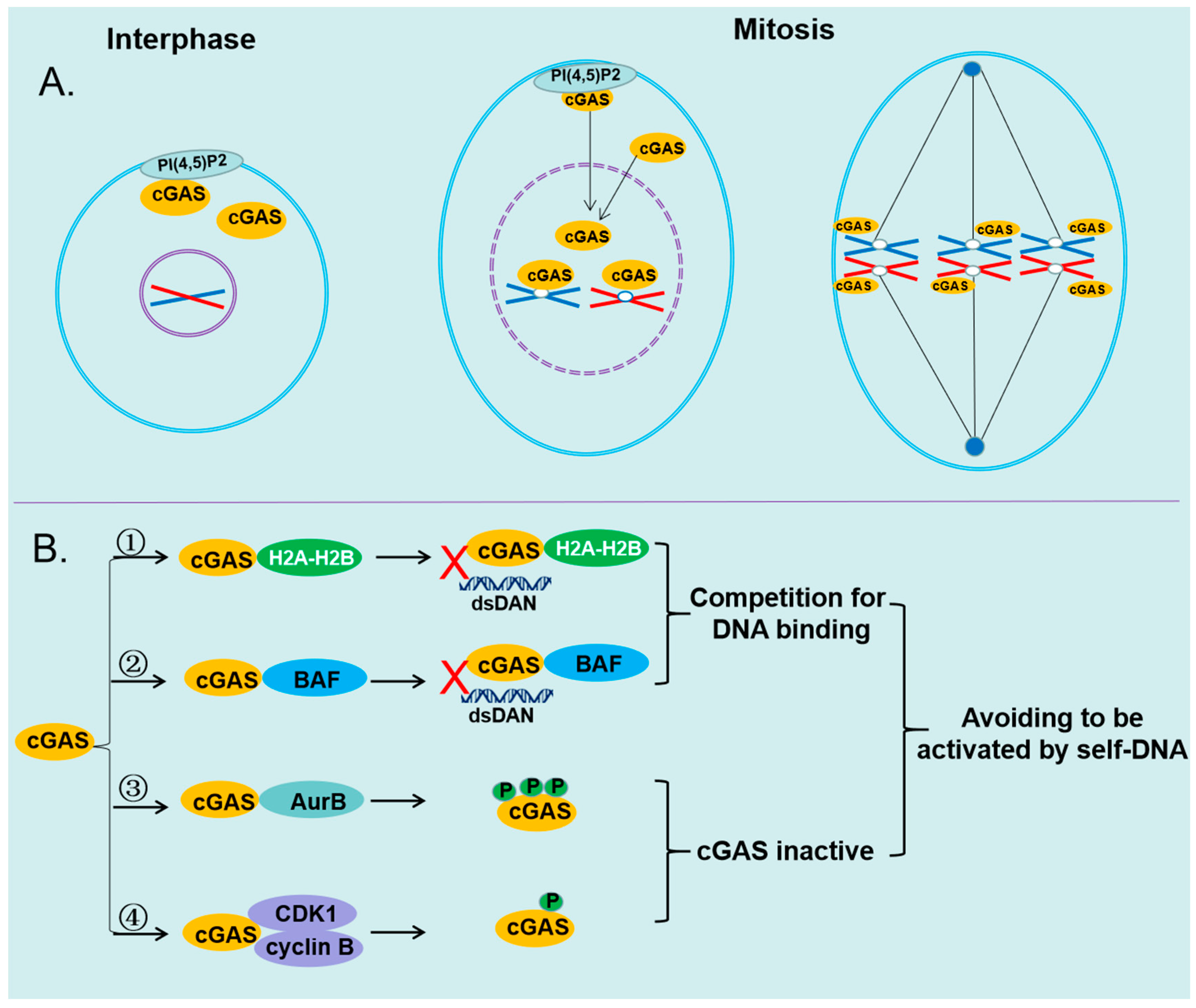 Preprints 83040 g003