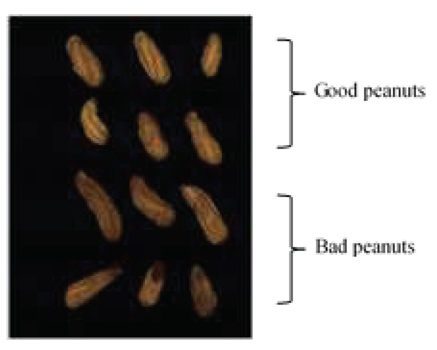 Preprints 75368 g017