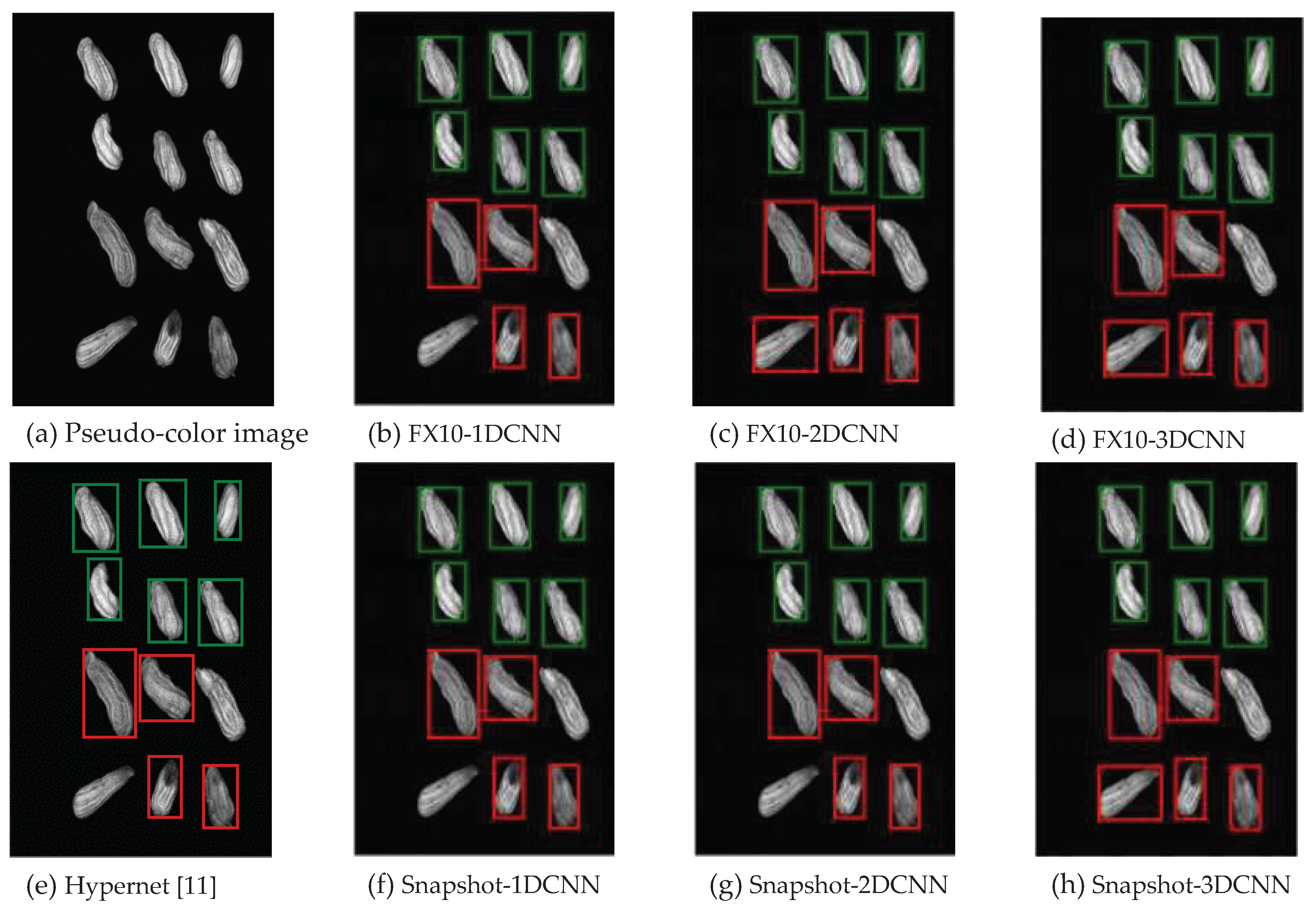 Preprints 75368 g019