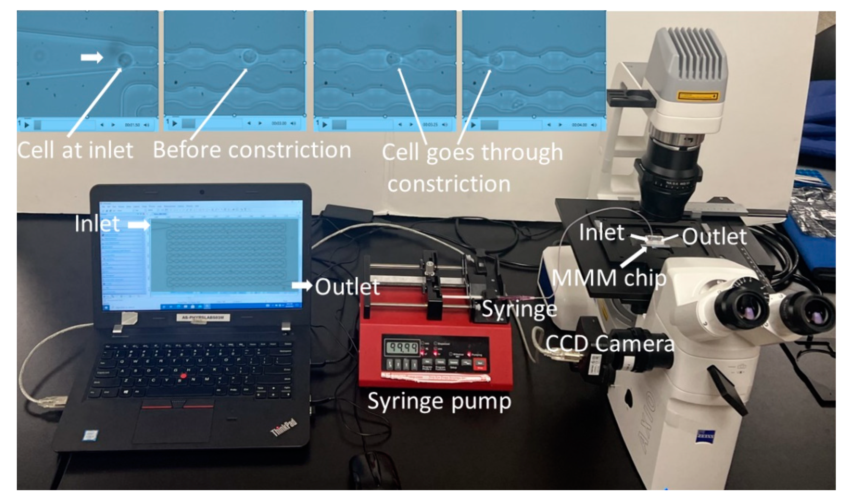 Preprints 78494 g001