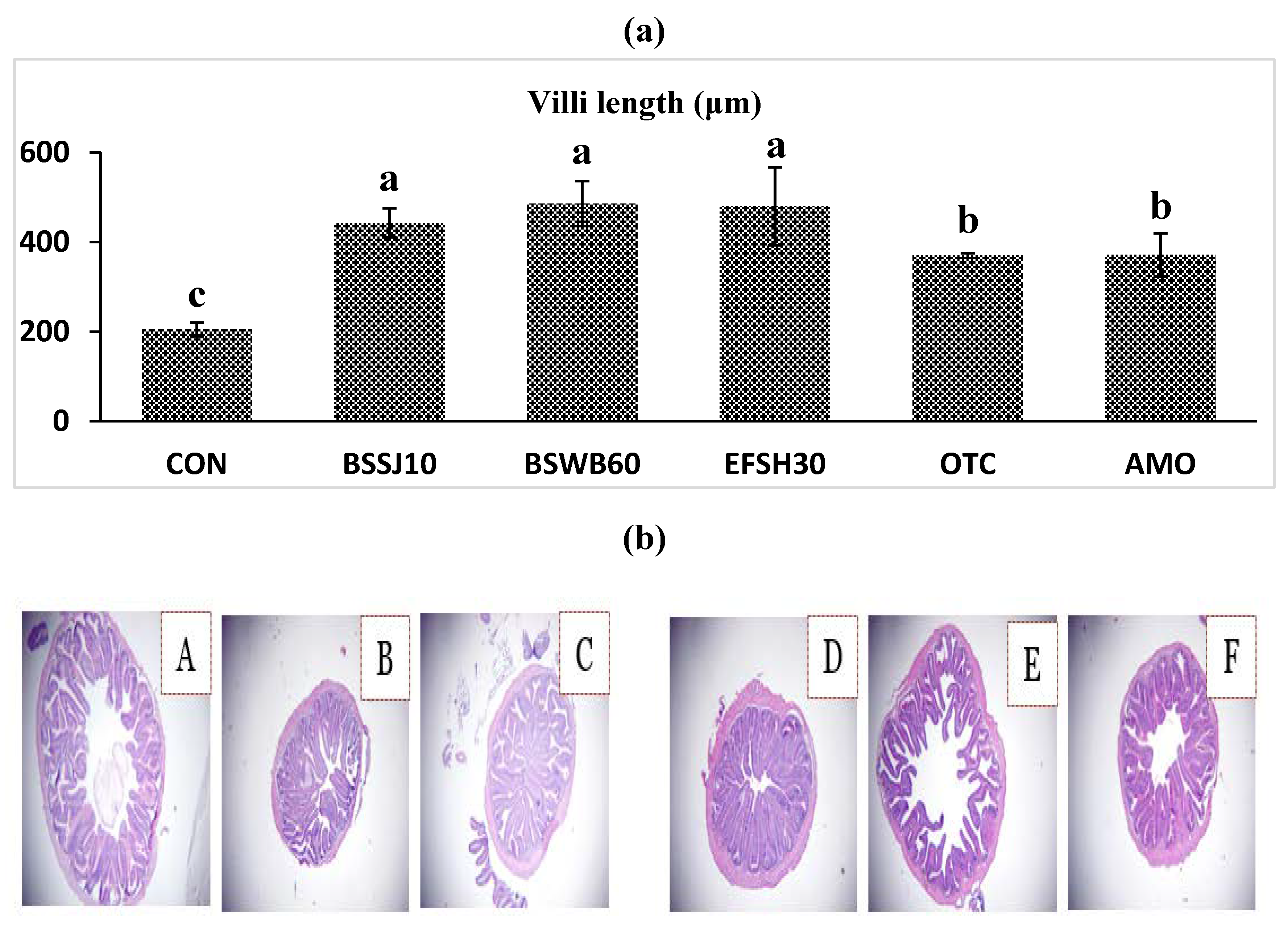 Preprints 103374 g002