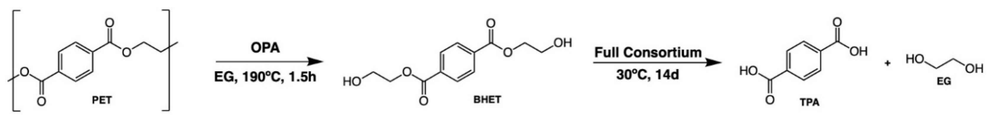 Preprints 83772 sch001