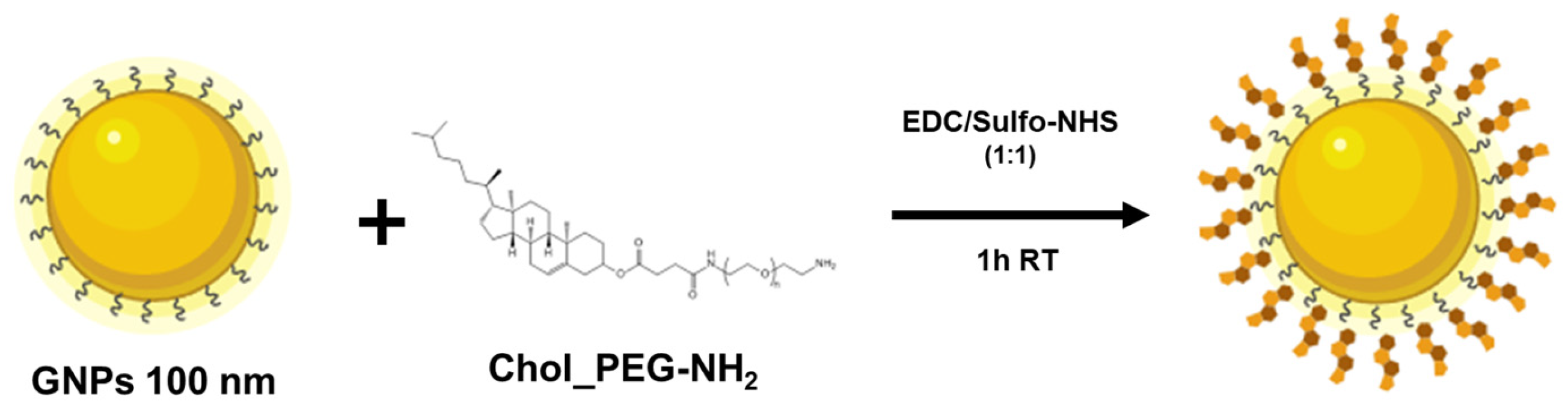 Preprints 120735 sch002