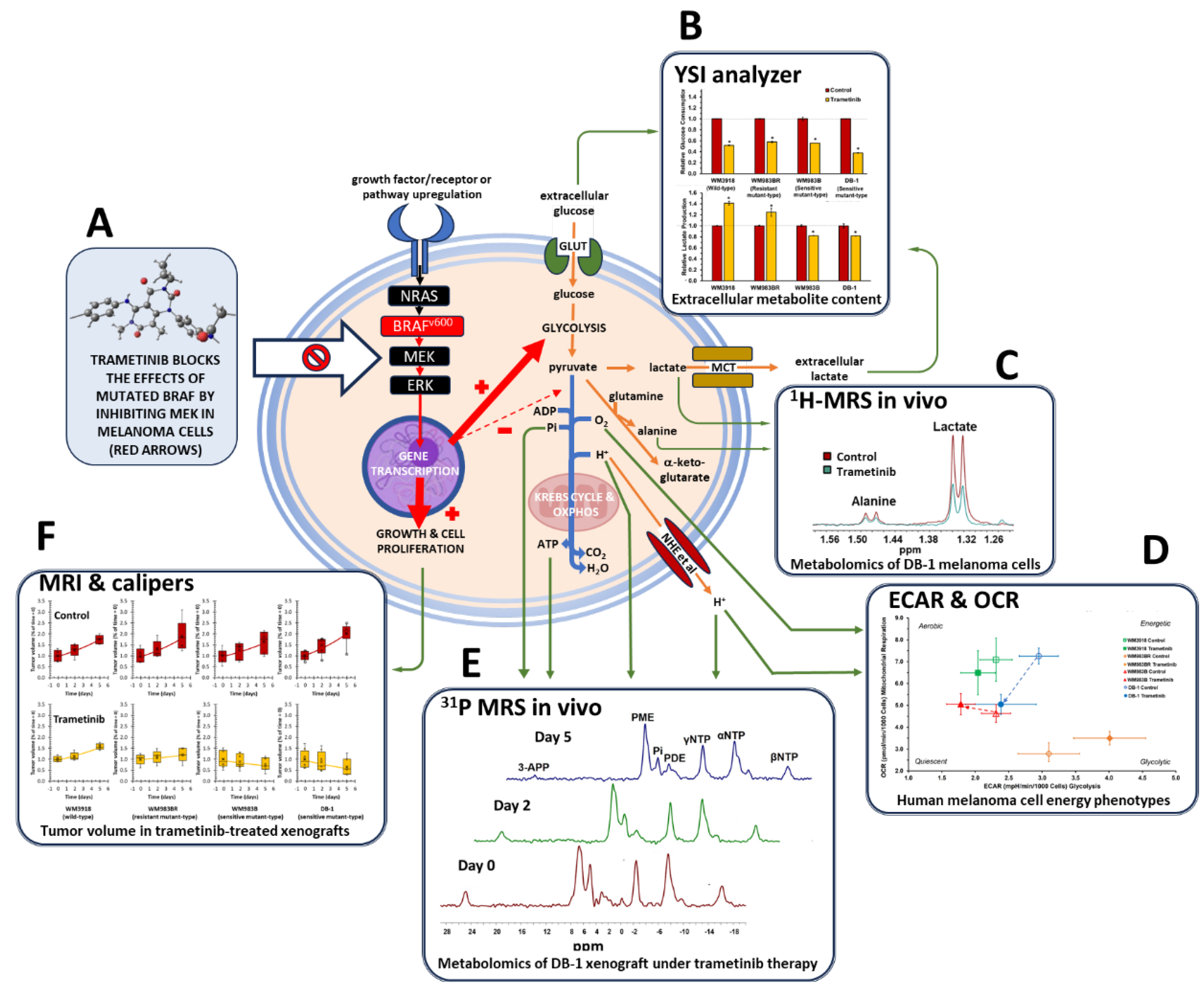 Preprints 109712 g001