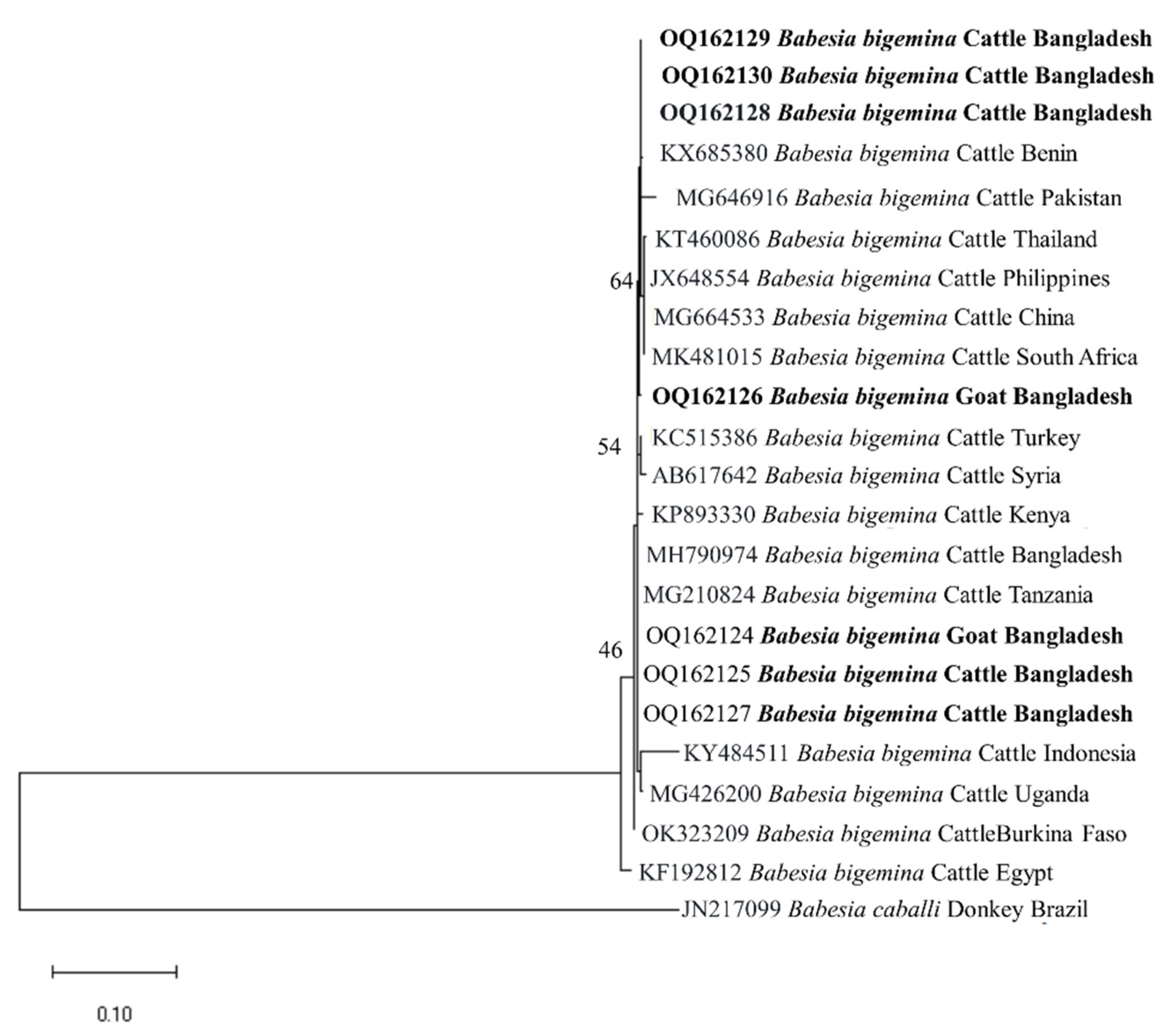 Preprints 72043 g002