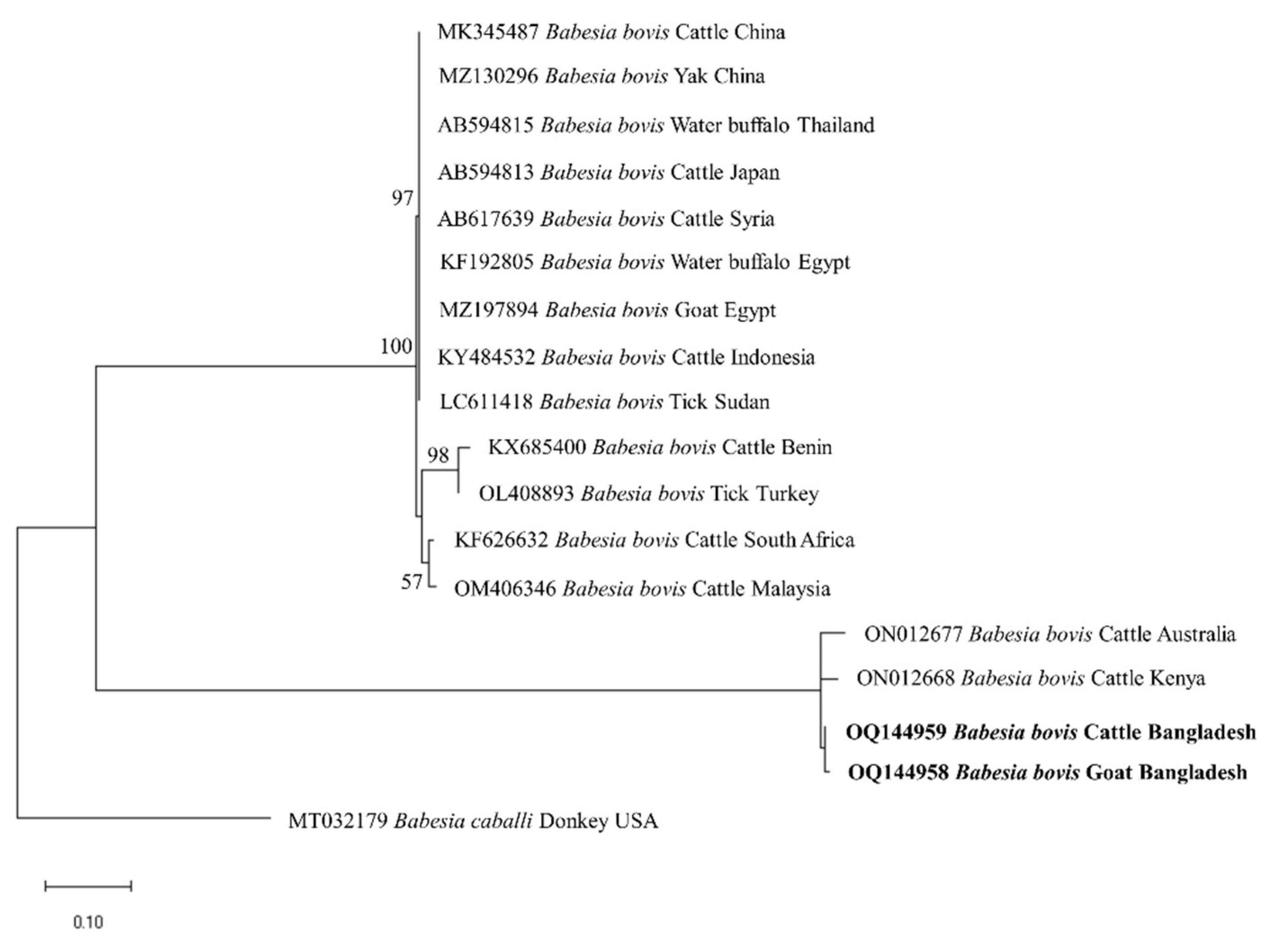 Preprints 72043 g003