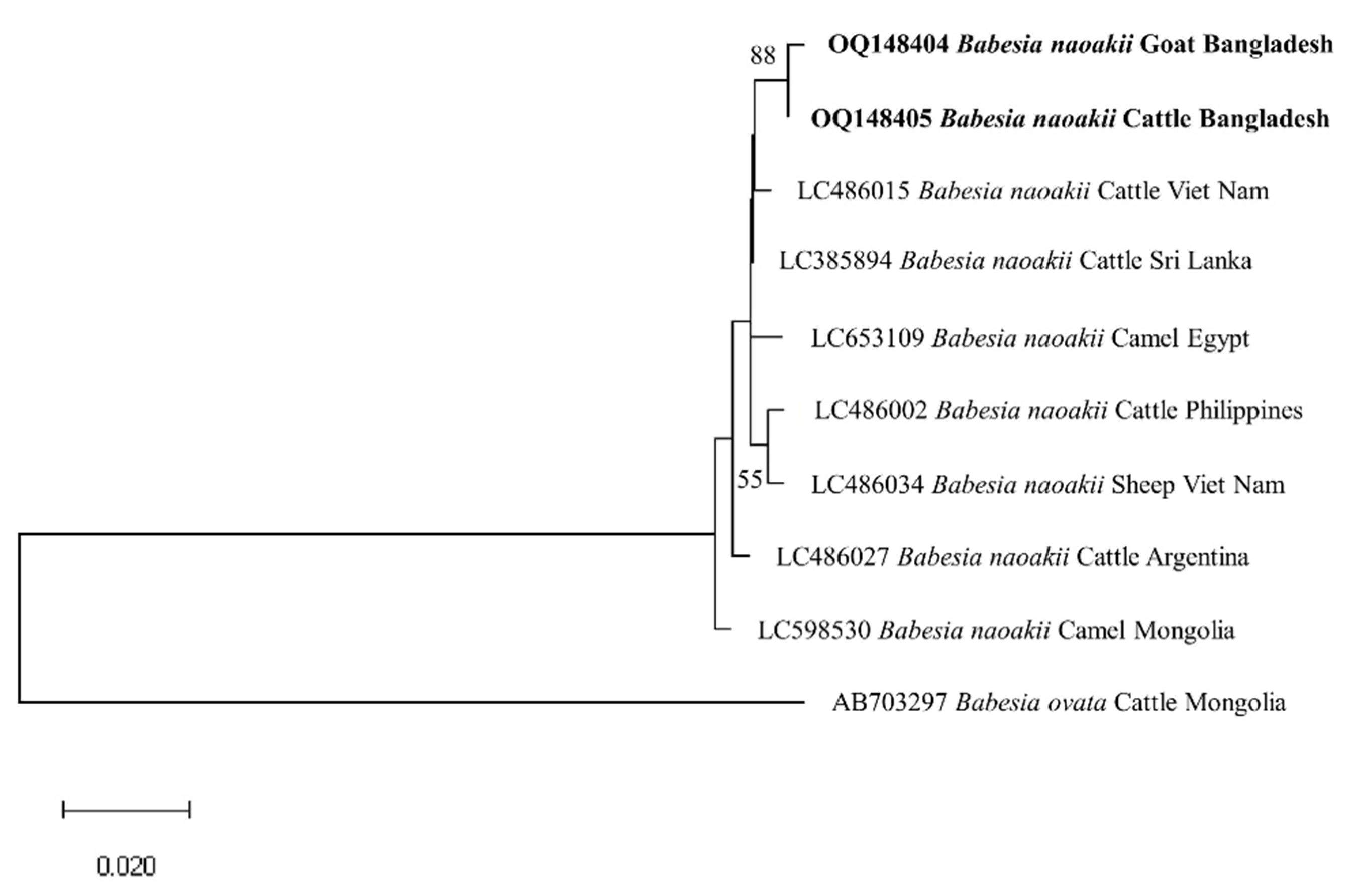 Preprints 72043 g004