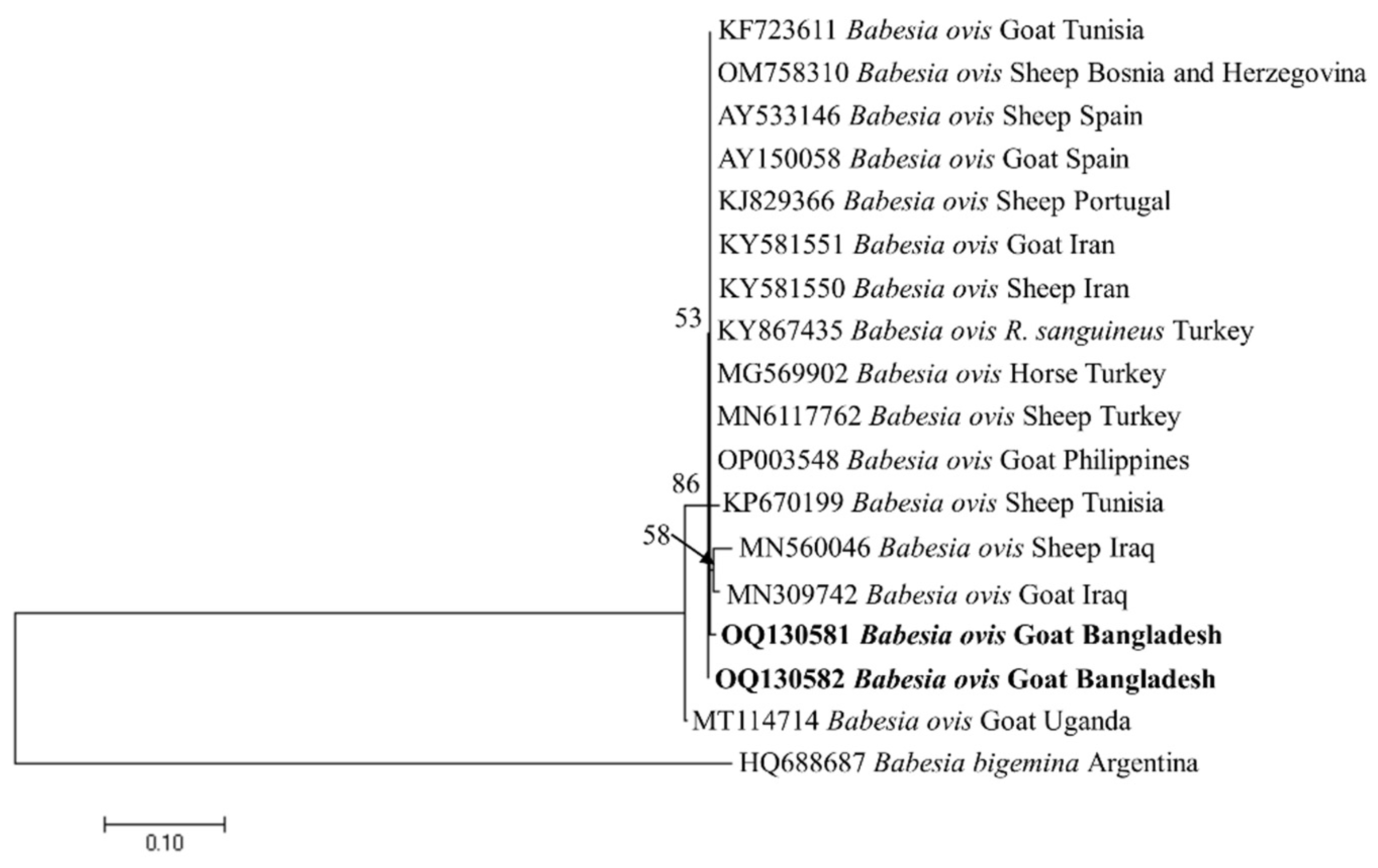 Preprints 72043 g005