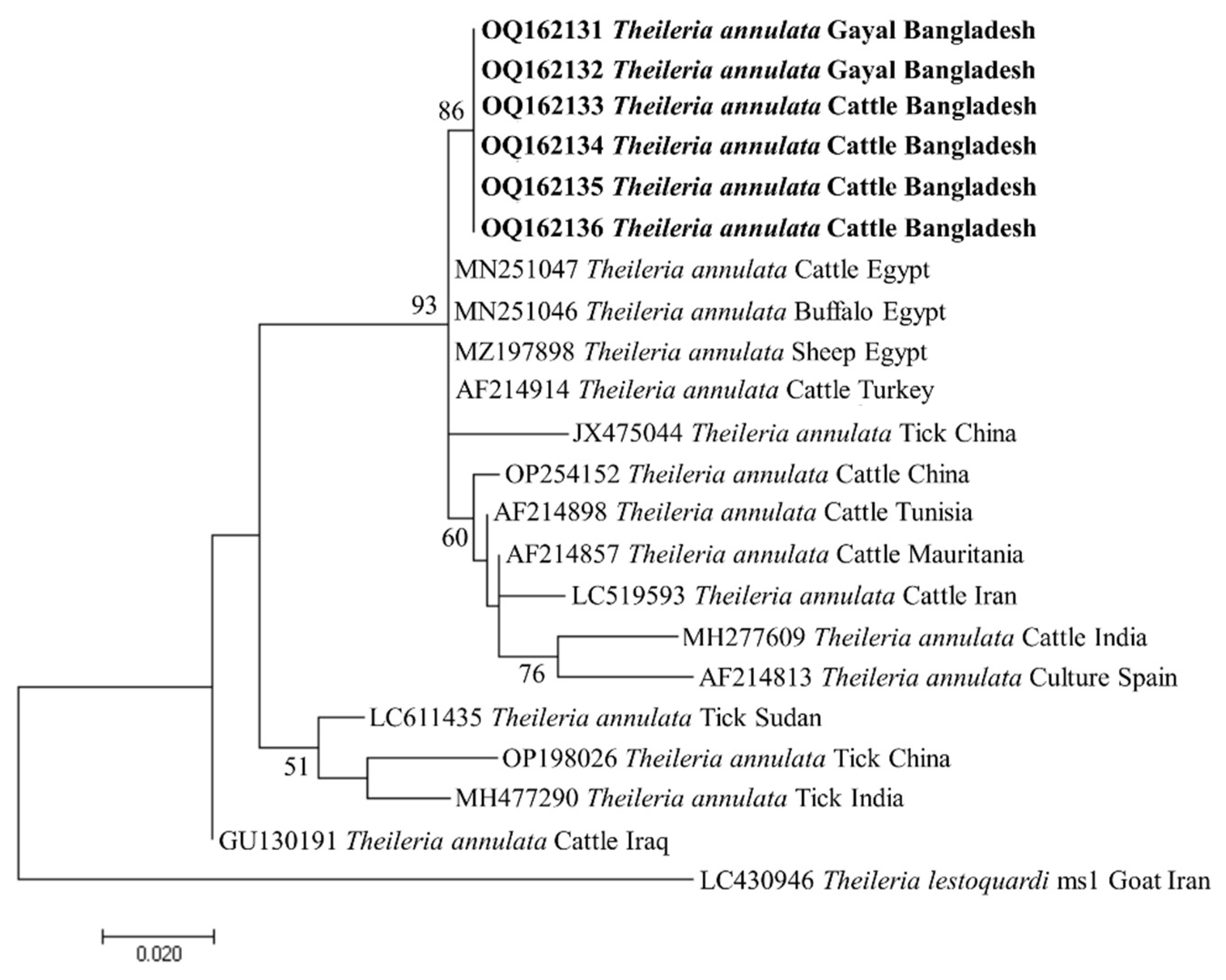 Preprints 72043 g006