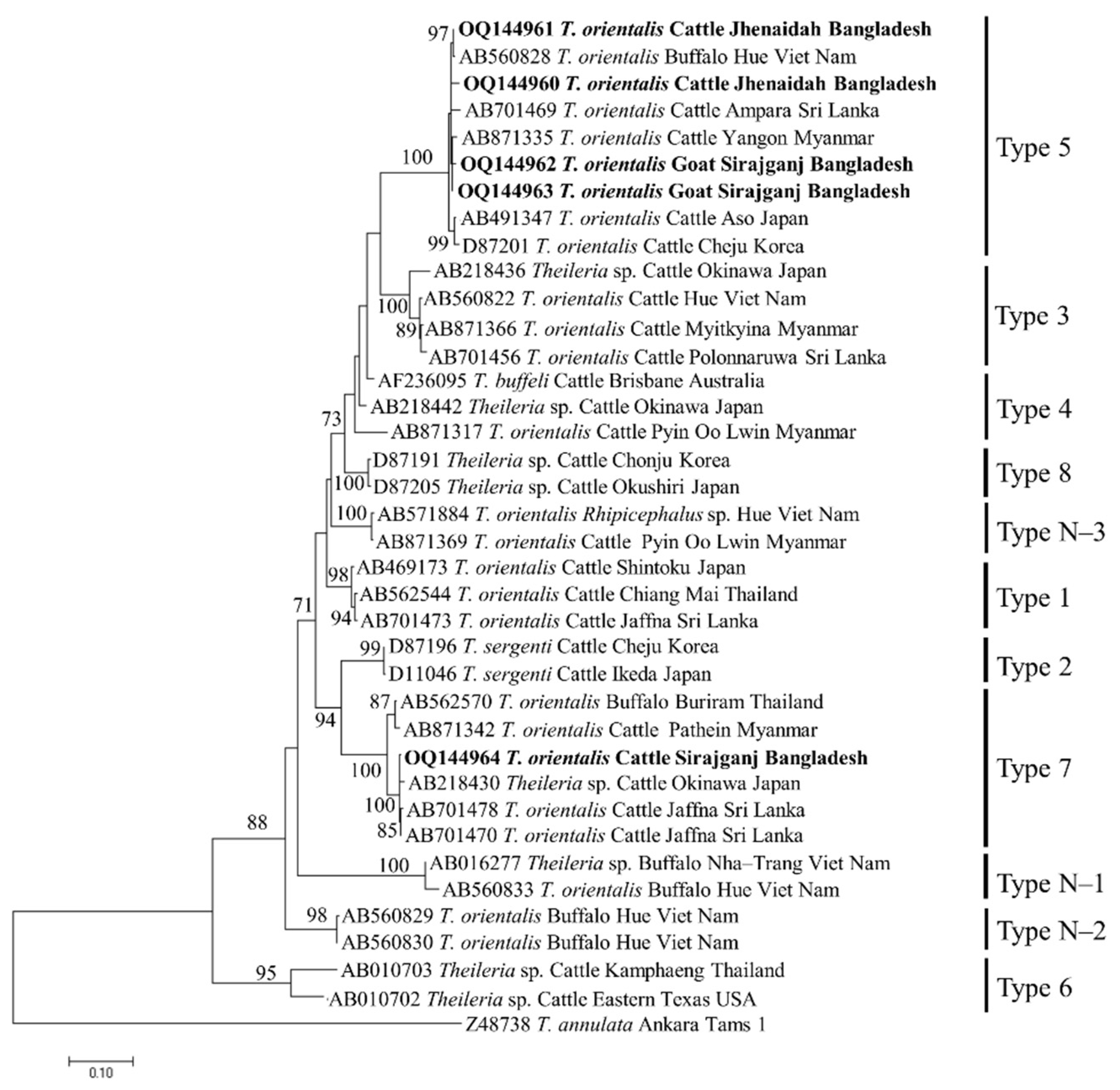 Preprints 72043 g007