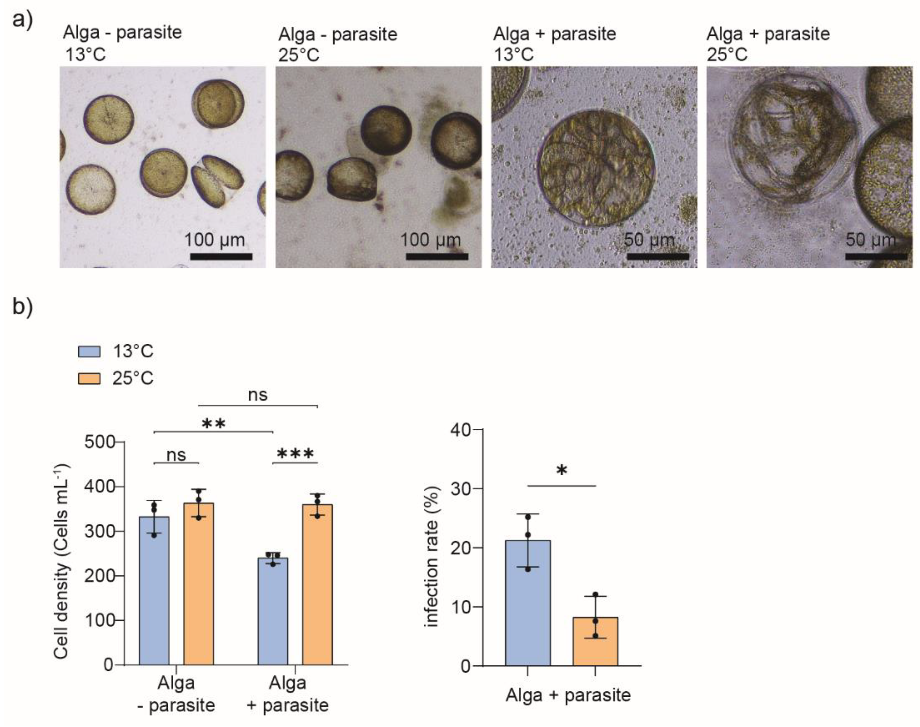 Preprints 137907 g001