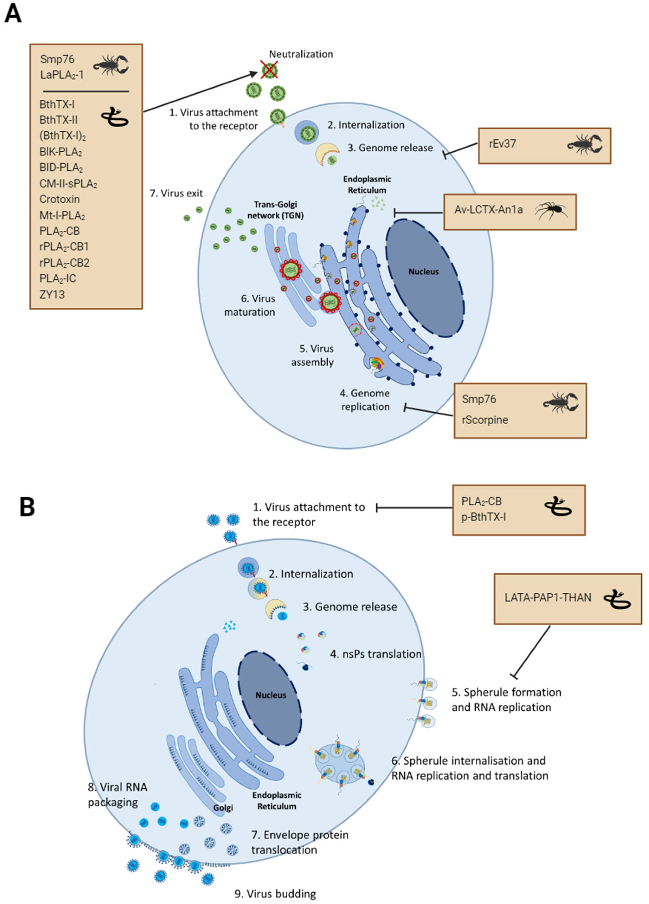 Preprints 116663 g002