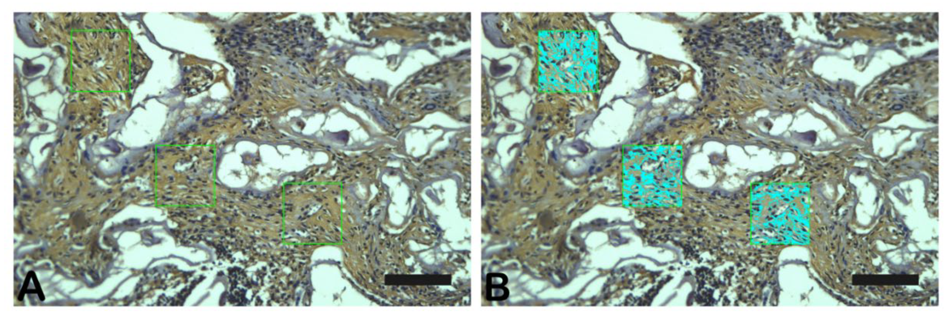 Preprints 137345 g002