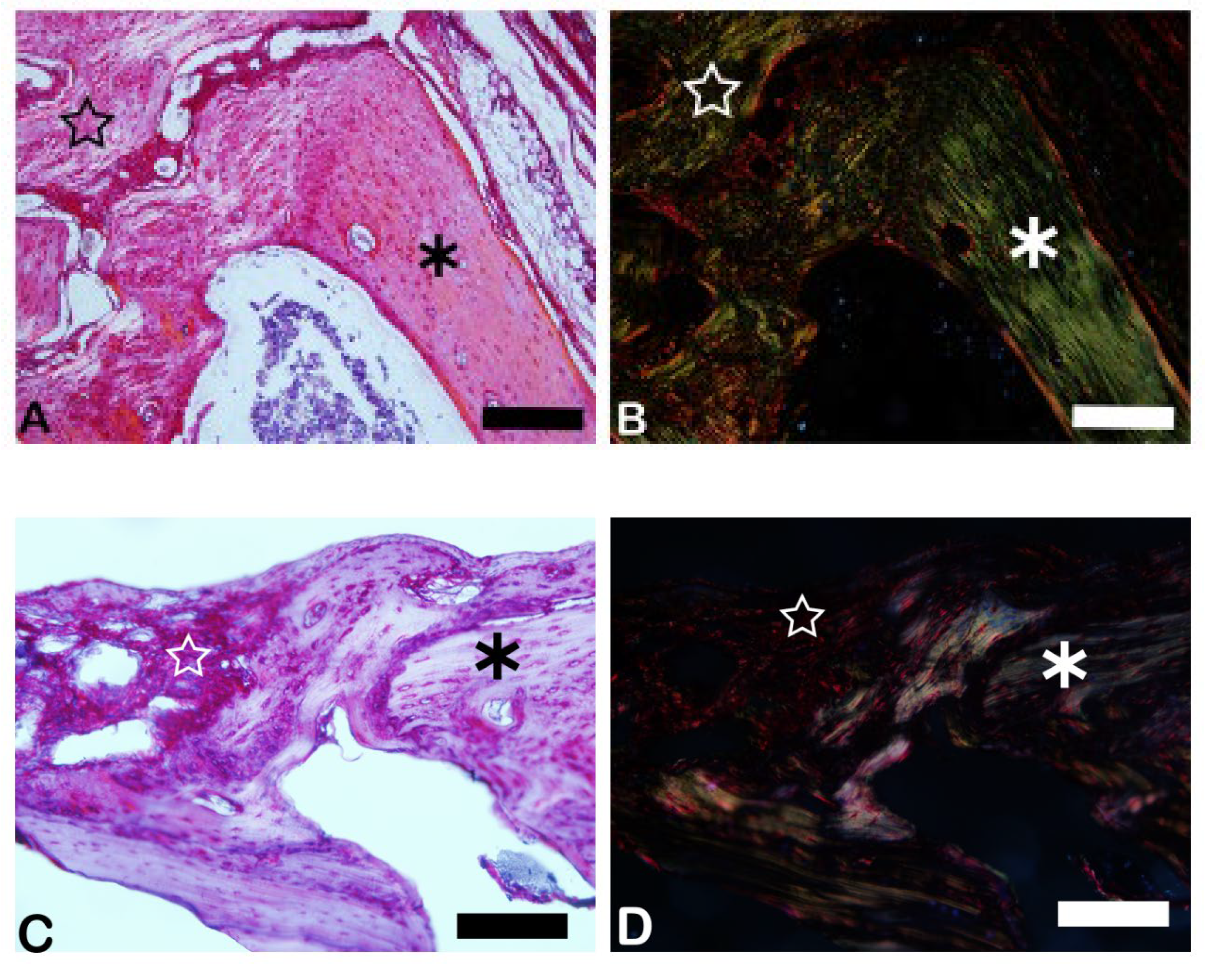 Preprints 137345 g007