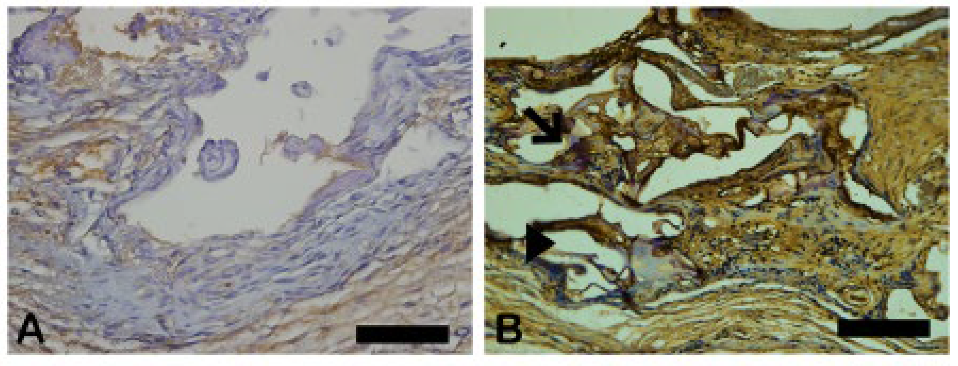 Preprints 137345 g013