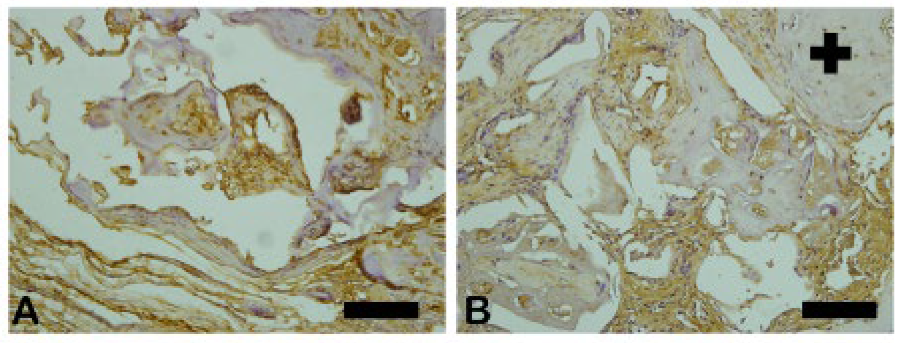 Preprints 137345 g015