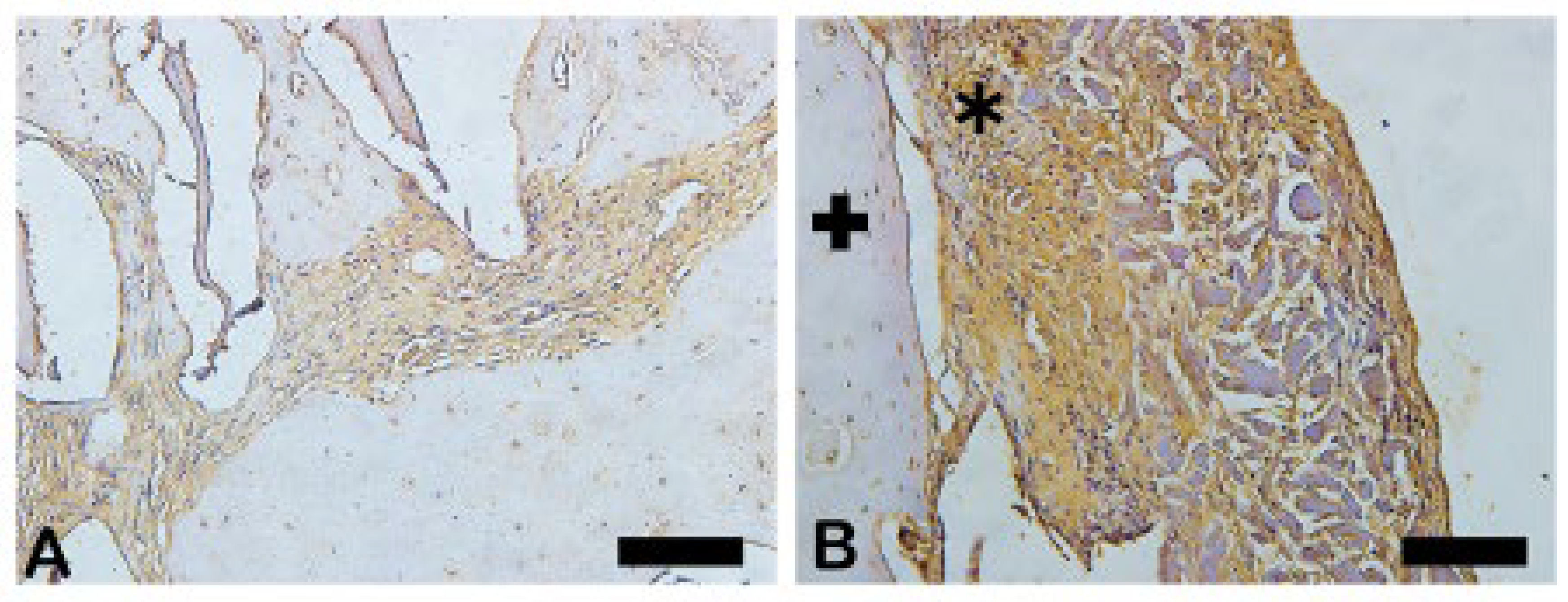 Preprints 137345 g019