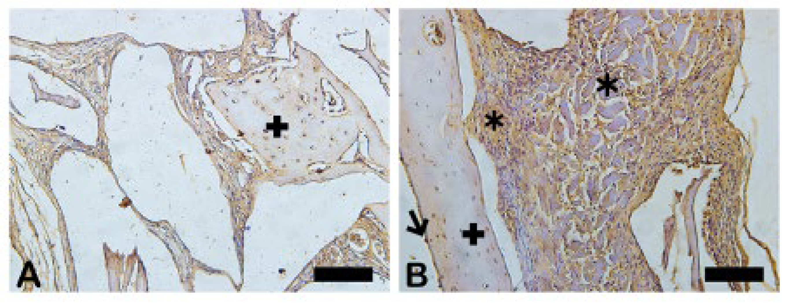 Preprints 137345 g021