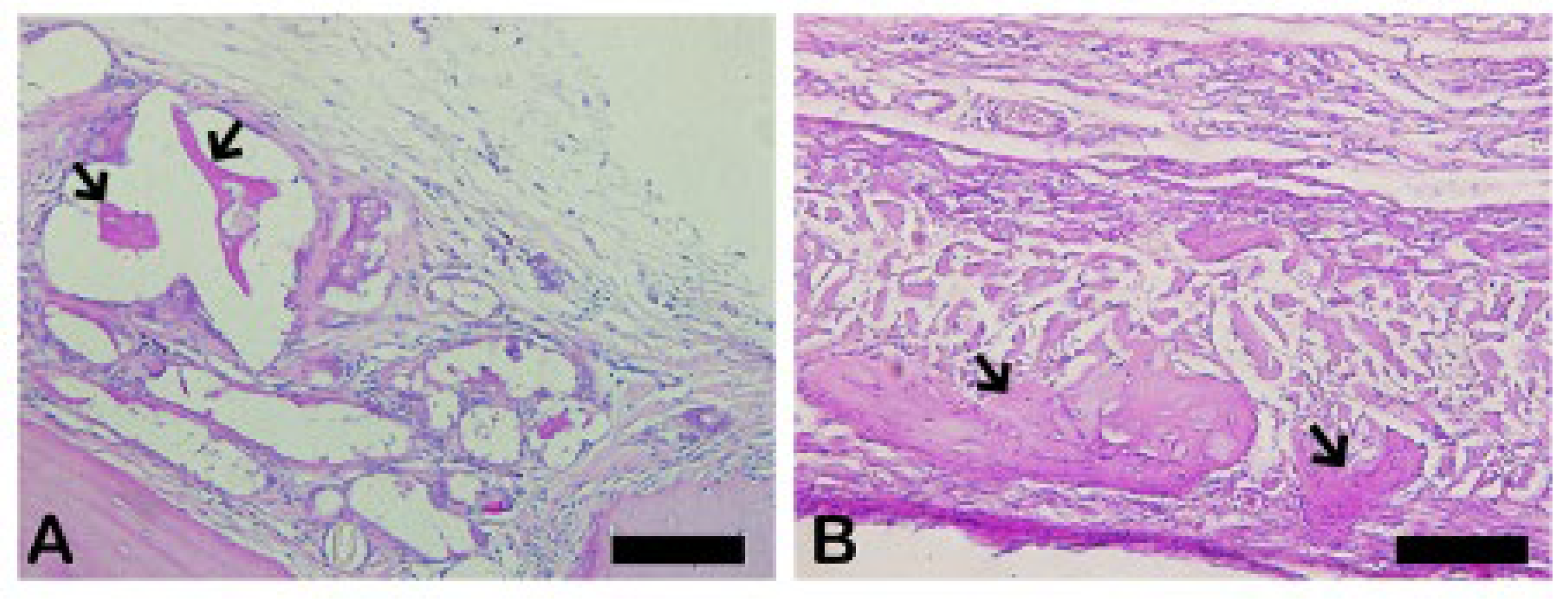 Preprints 137345 g023