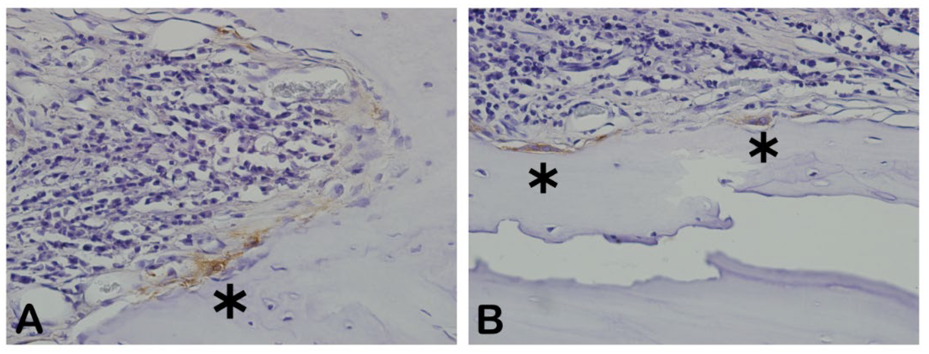 Preprints 137345 g025