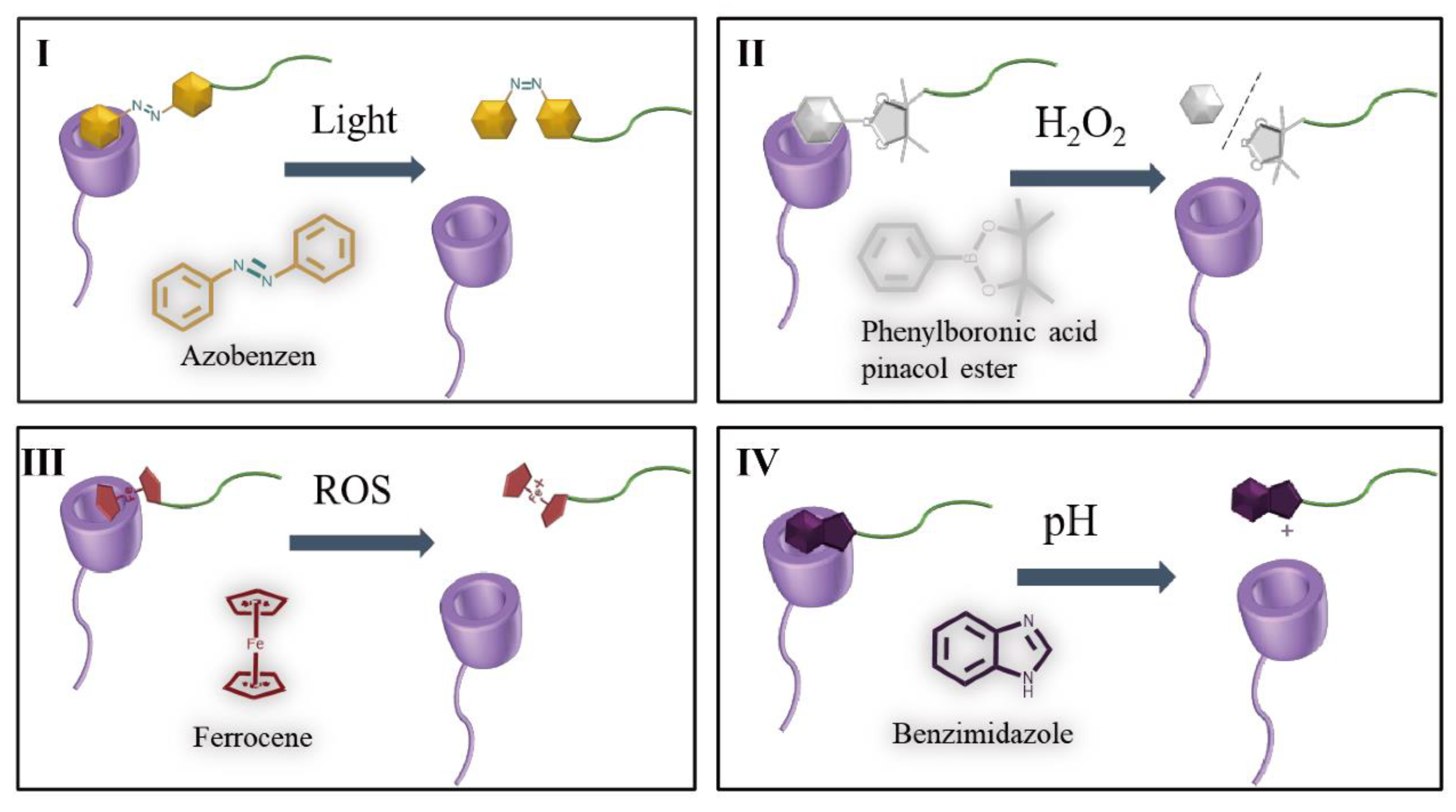 Preprints 70995 g003