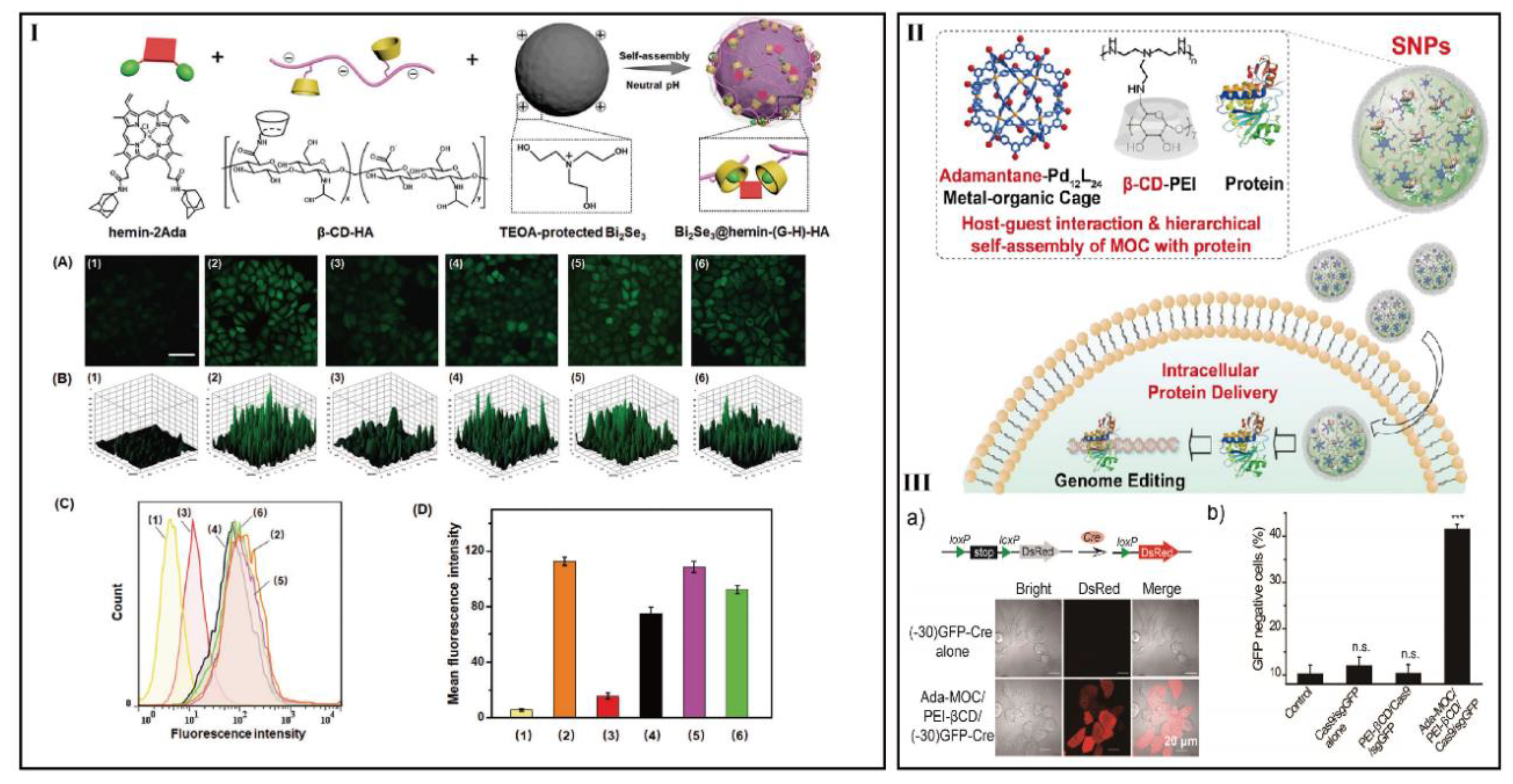 Preprints 70995 g004