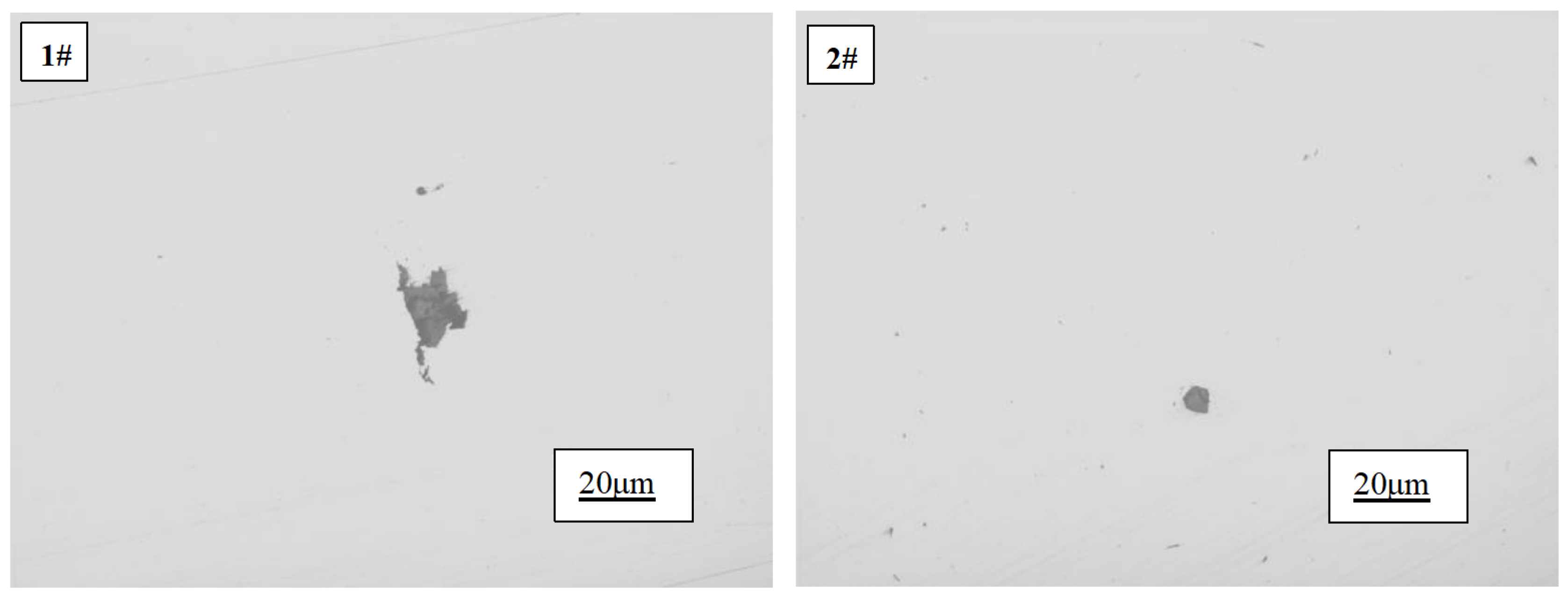 Preprints 102575 g006