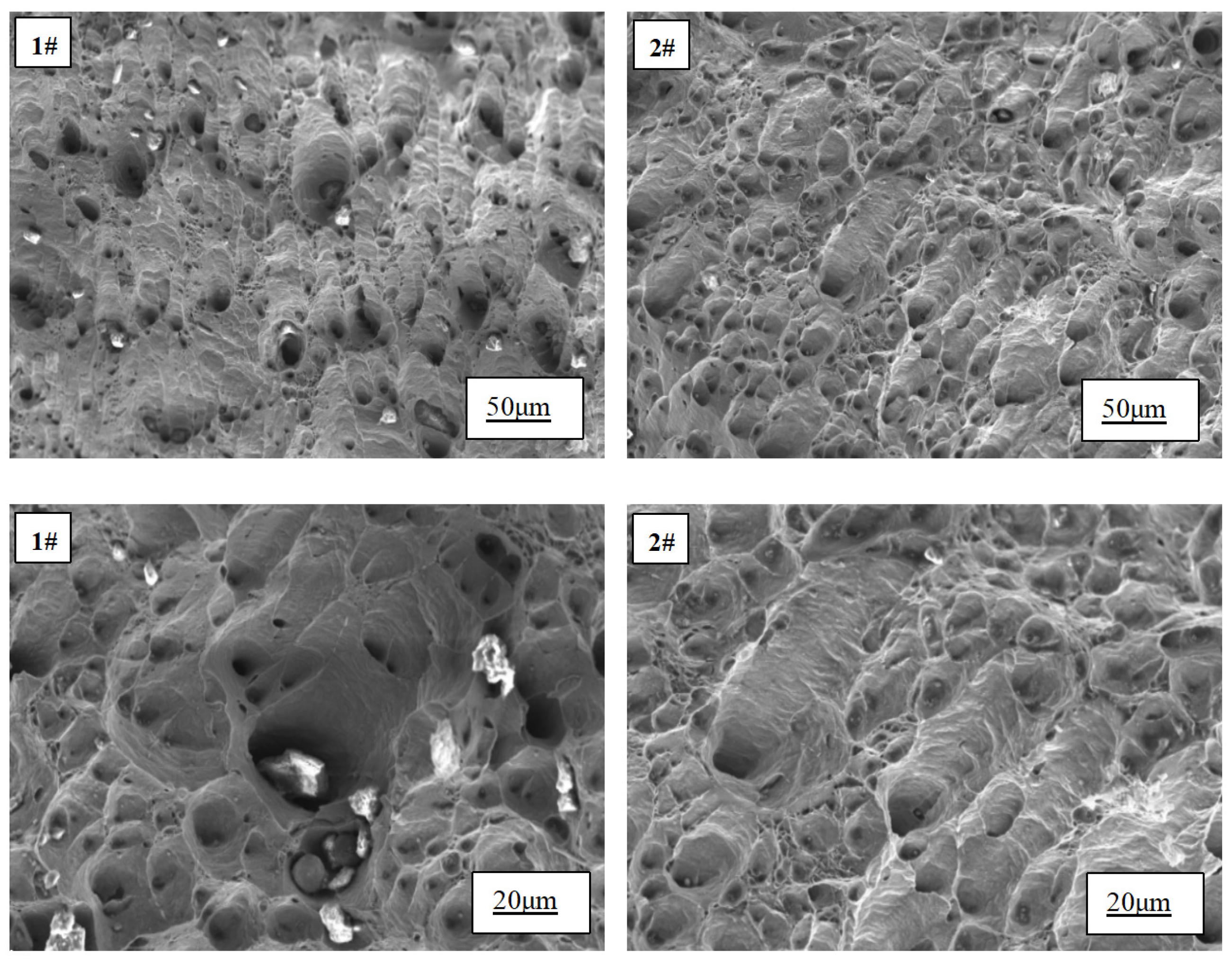 Preprints 102575 g007