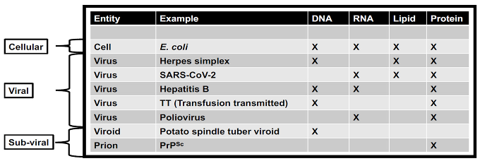 Preprints 67465 i001