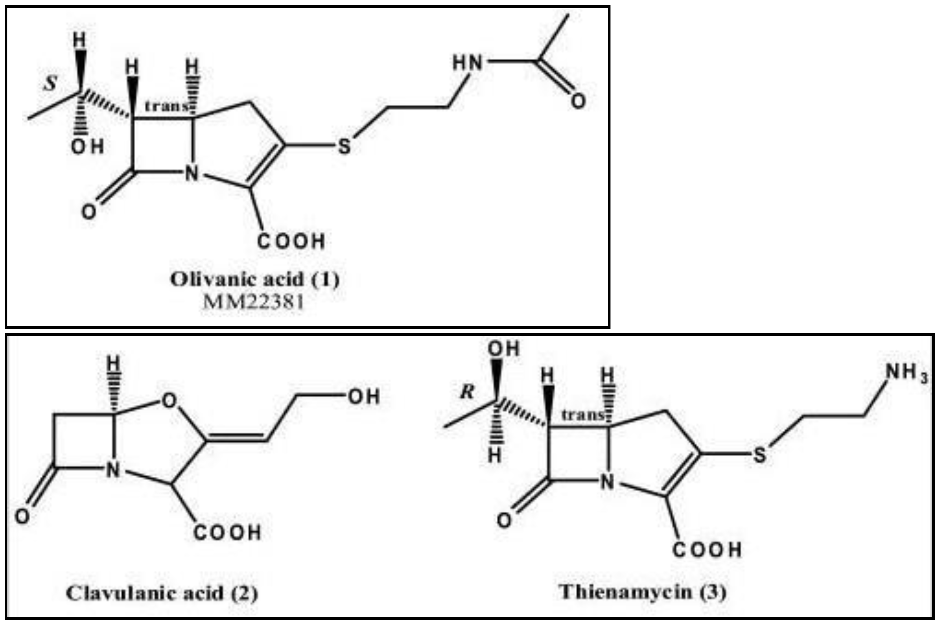 Preprints 70246 g002