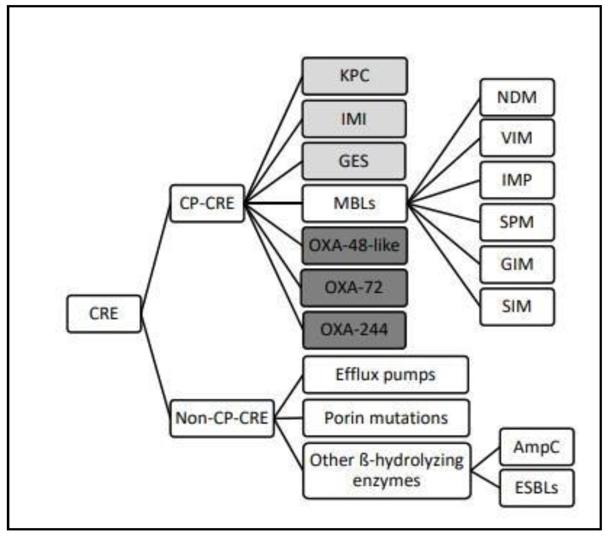 Preprints 70246 g003