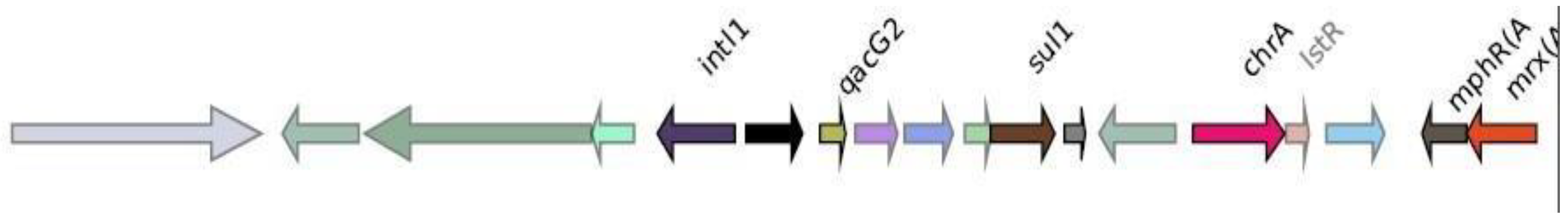 Preprints 70246 g012