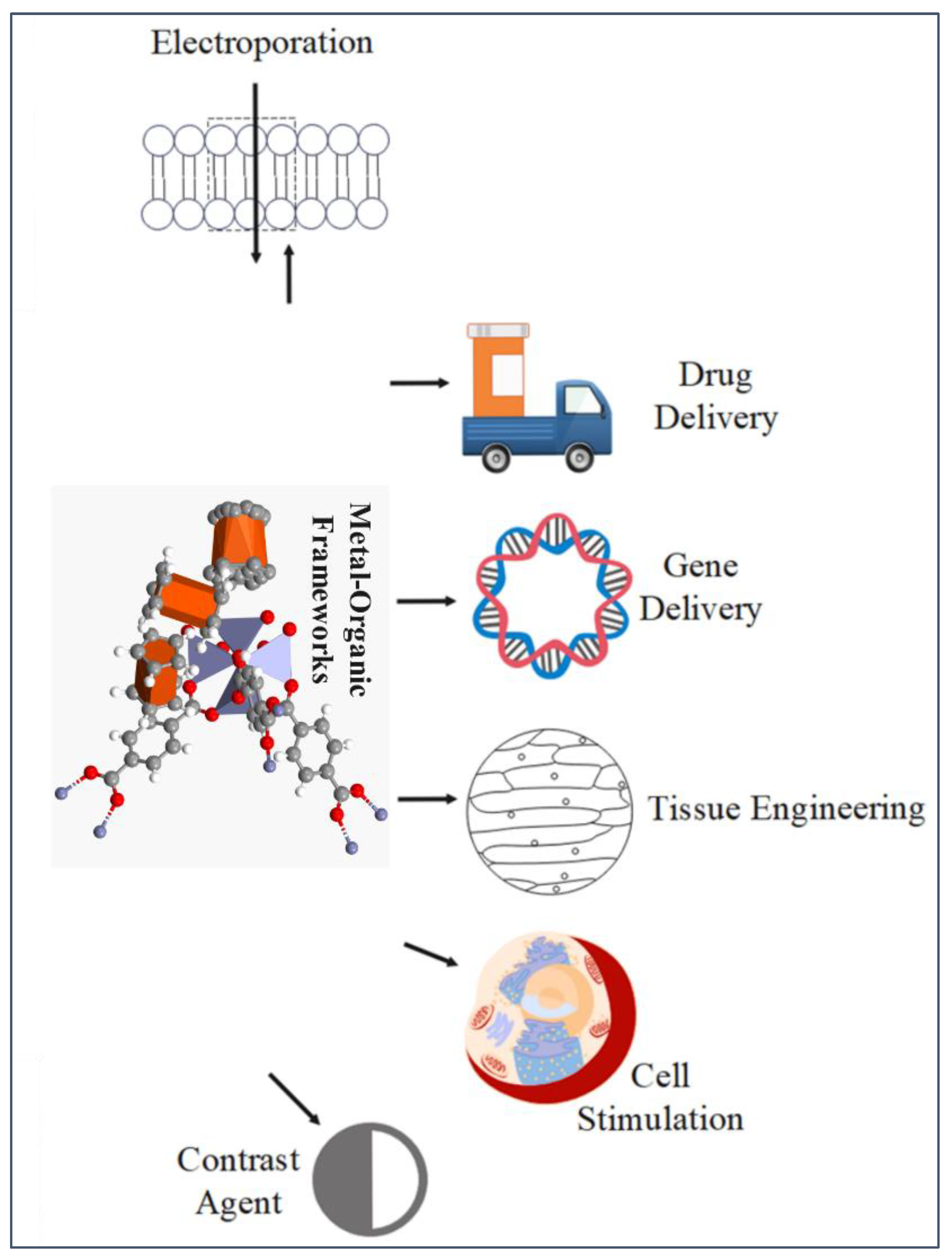 Preprints 114755 g006