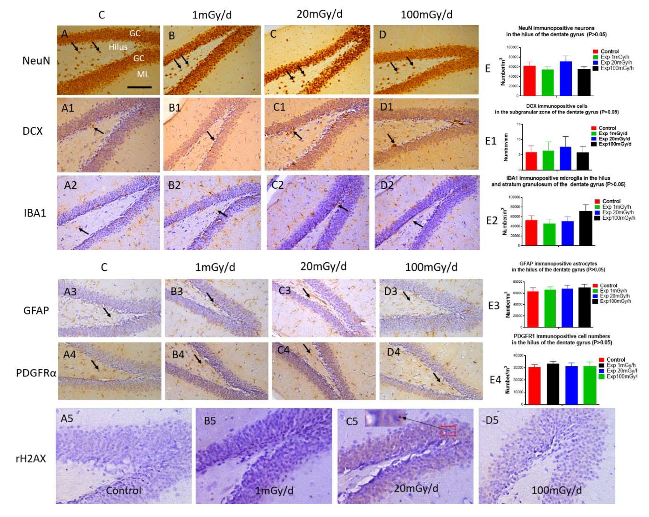 Preprints 113592 g005