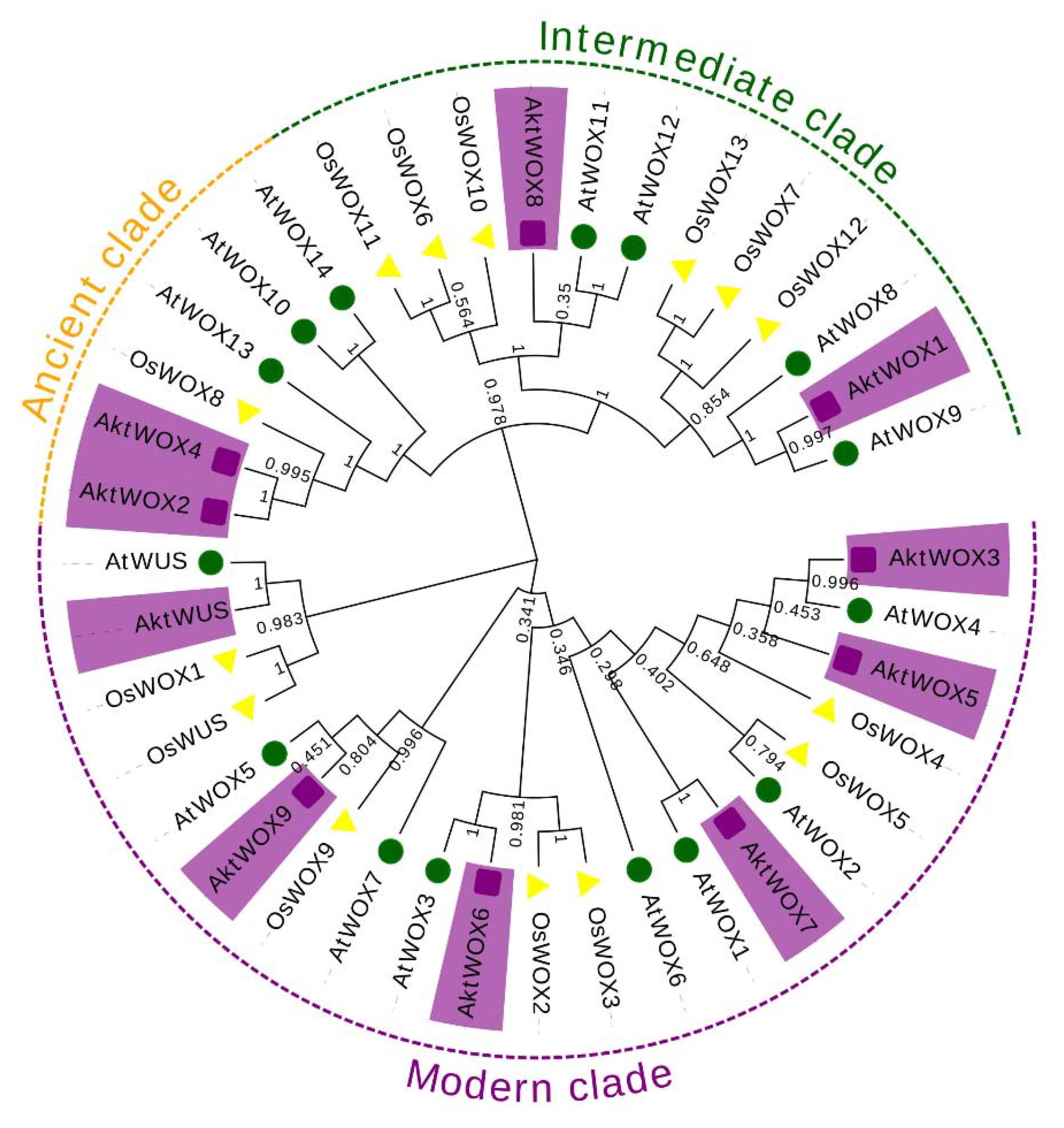 Preprints 89472 g001