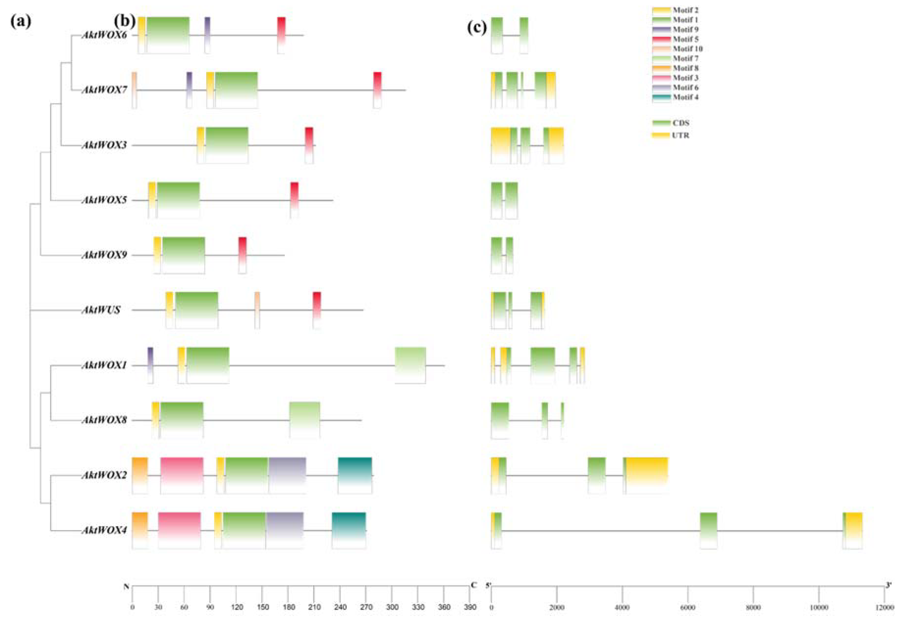 Preprints 89472 g002